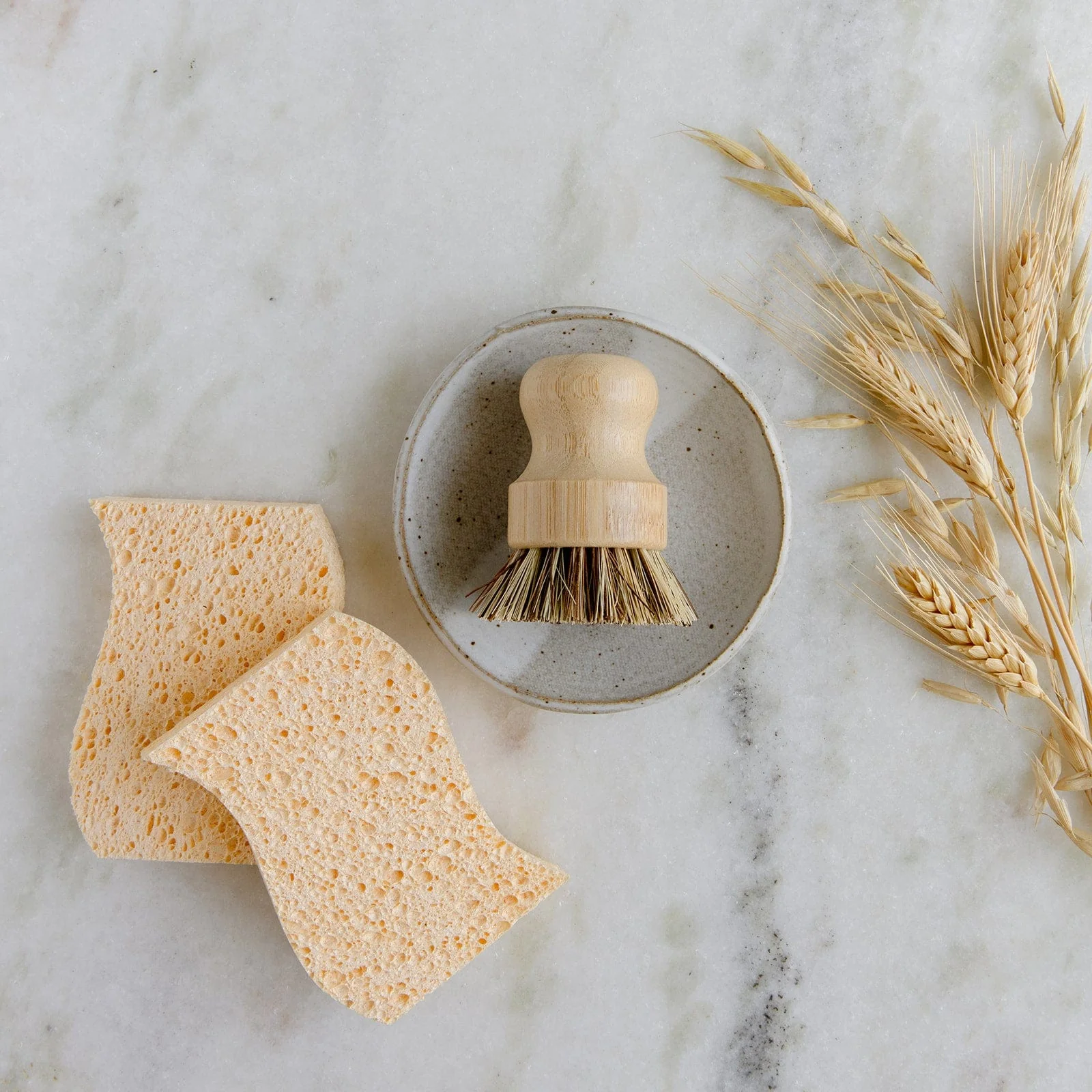 Dish Sponge Mini Kit