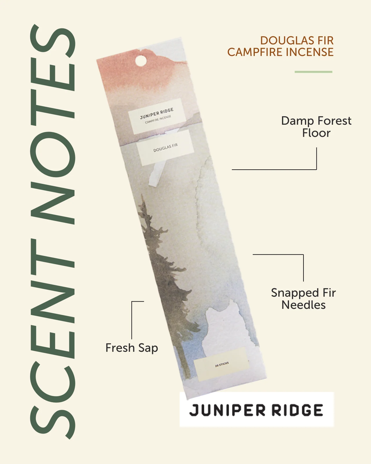 Douglas Fir Campfire Incense (20 Sticks) 3-Pack - Image 3