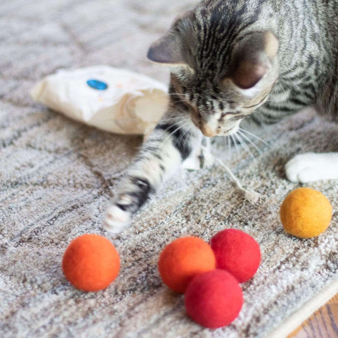 Eco Toy Balls "Orange Crush" - Set of 6 - Image 3