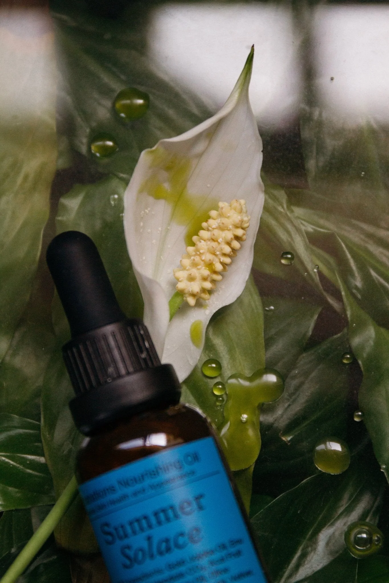 Emanations Face Oil – Deeply Nourishing | Champa, Tuberose & White Ginger Lily - Image 10