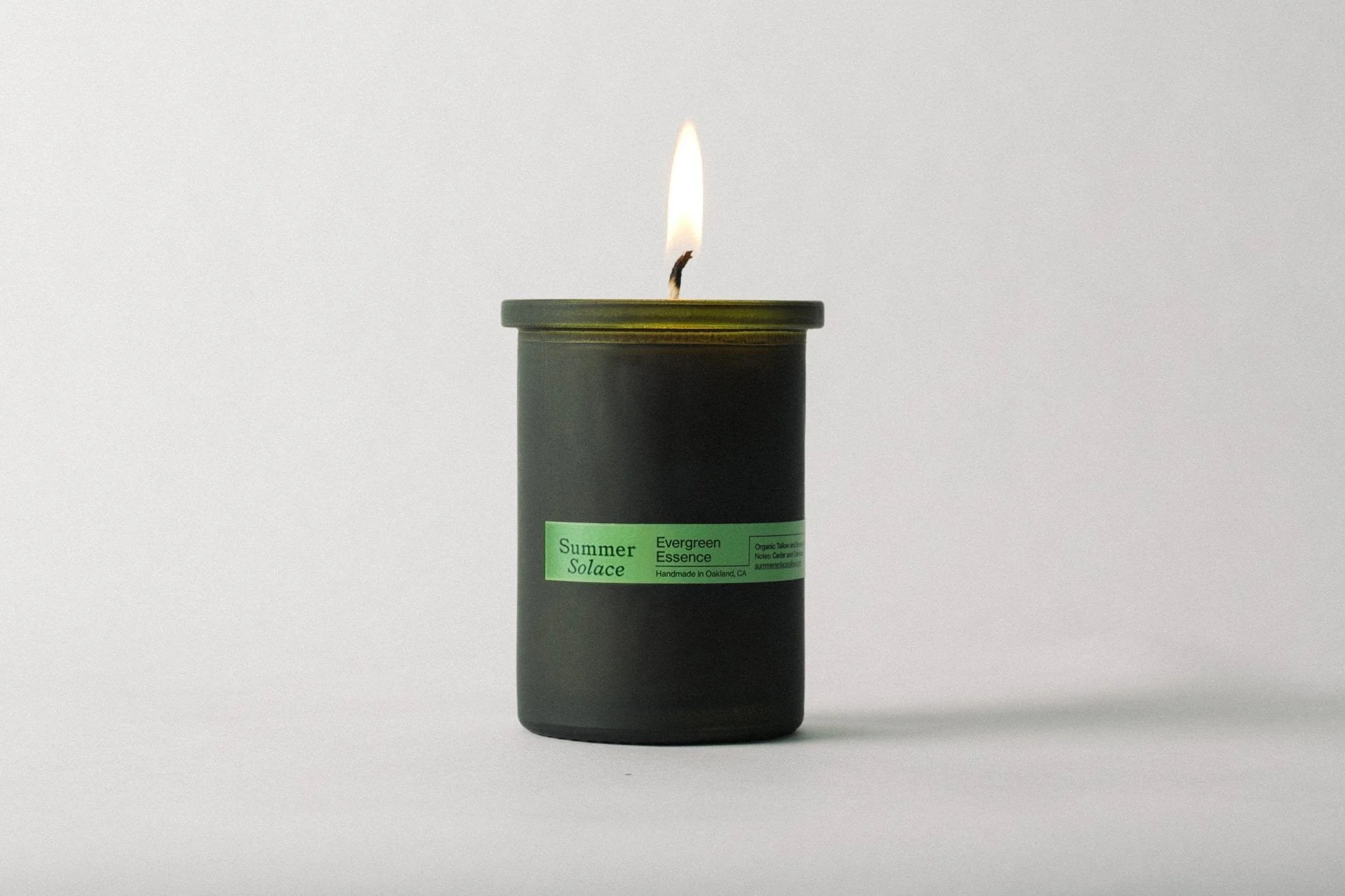 Evergreen Essence – Cedar & Oakmoss Candle | 6 oz Tallow & Beeswax - Image 4