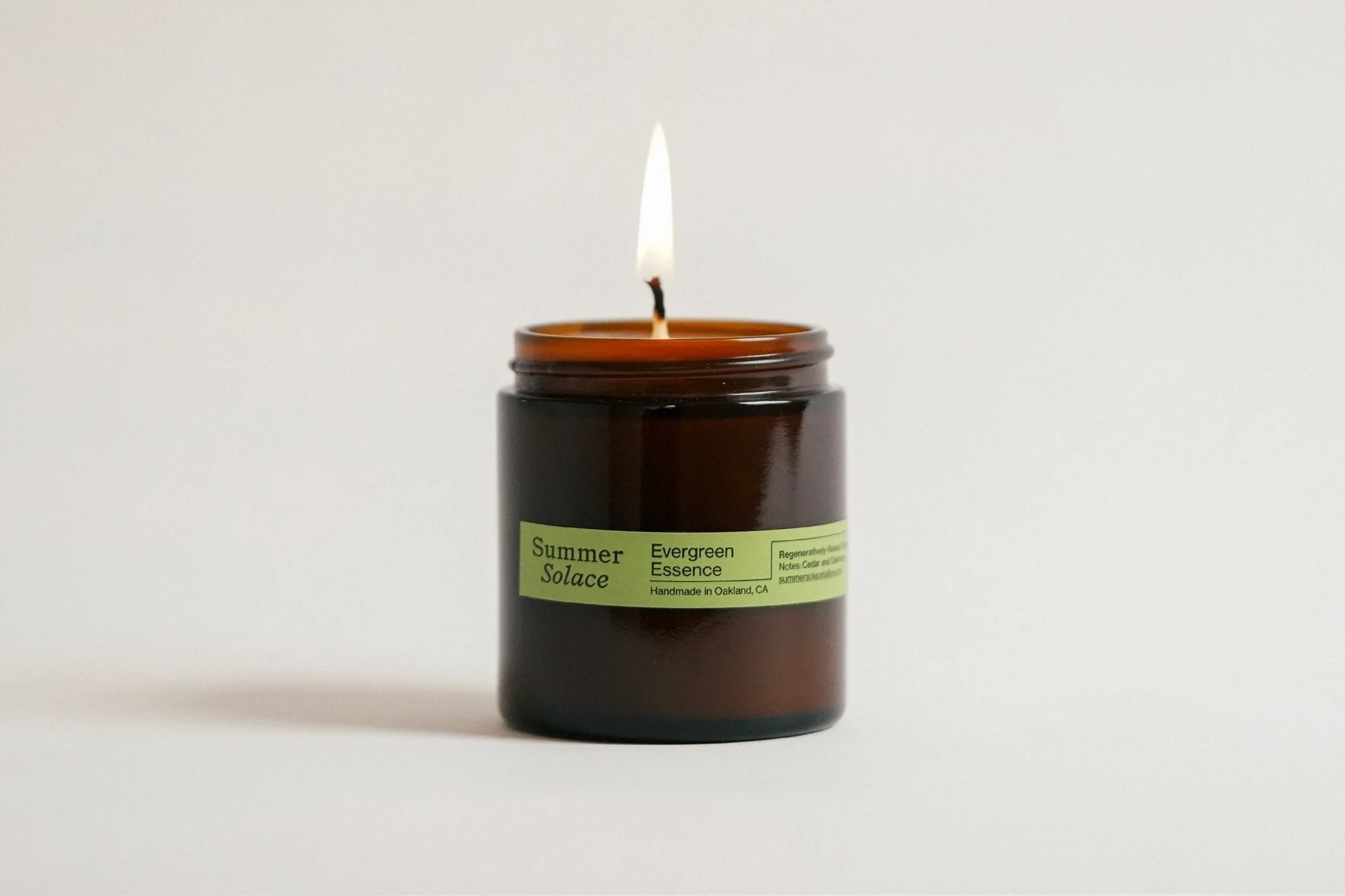 Evergreen Essence – Travel Candle | Cedar & Oakmoss - Image 4