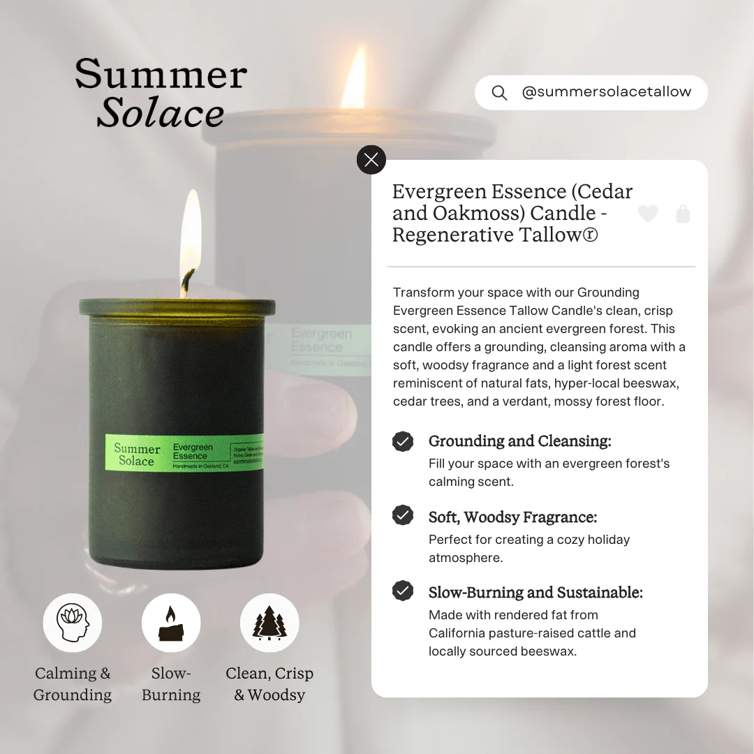Evergreen Essence – Travel Candle | Cedar & Oakmoss - Image 5