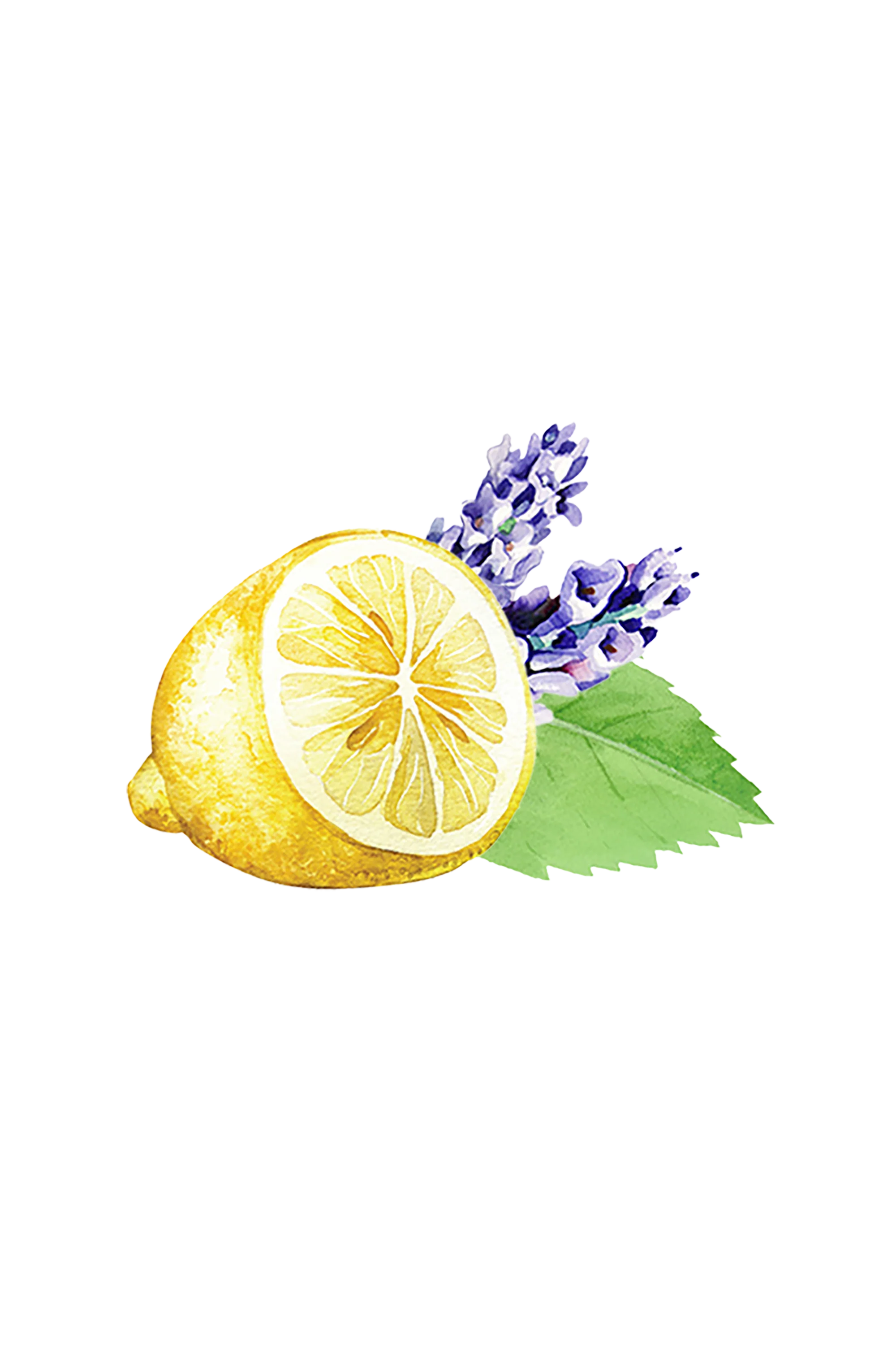 Floor Cleaner Concentrate | Lavender, Lemon & Mint - Image 2