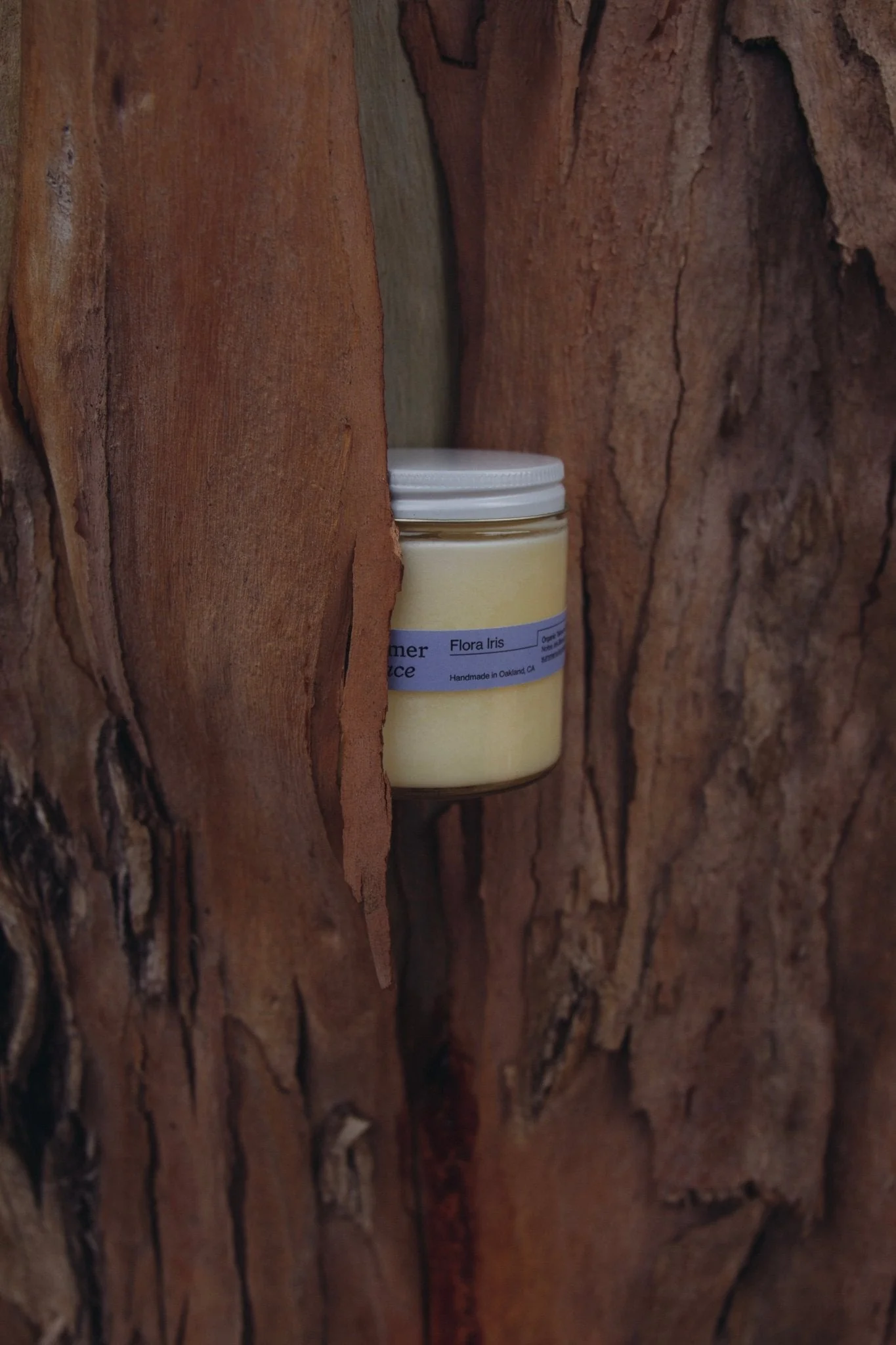 Flora Iris – Travel Candle | Orris Root & Palo Santo - Image 5
