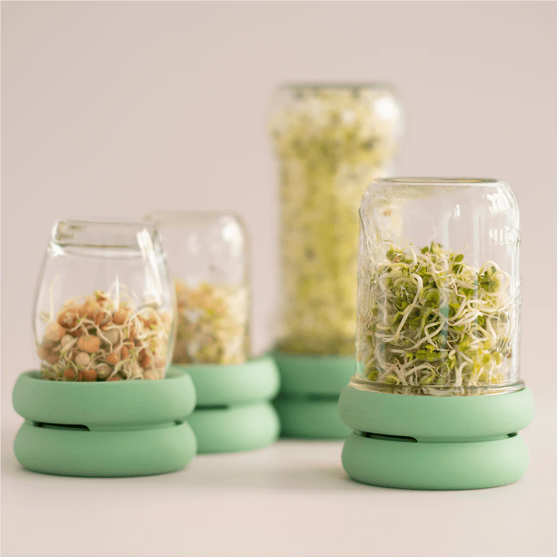 Food Huggers Micro Greens Kit - Image 2