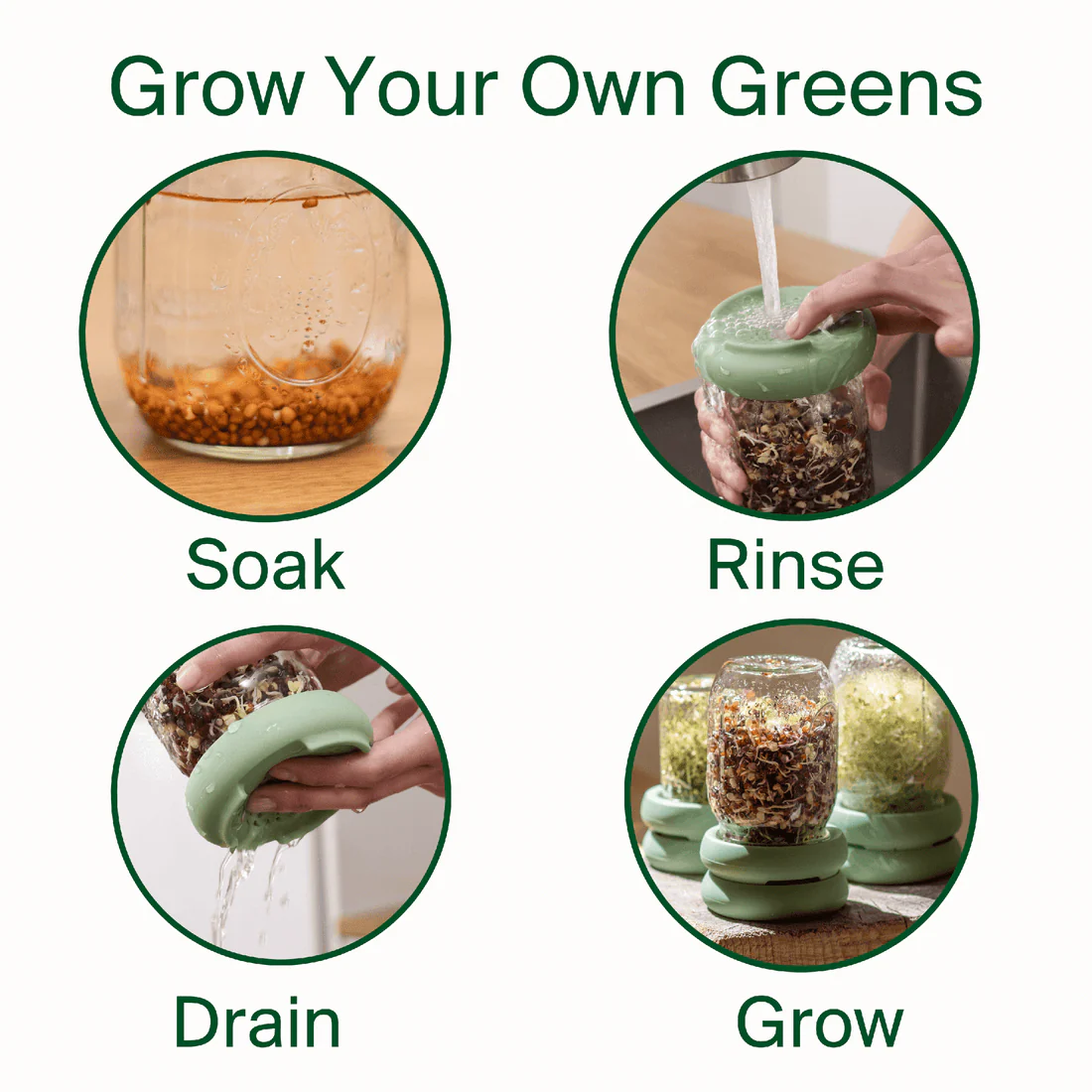 Food Huggers Micro Greens Kit - Image 3