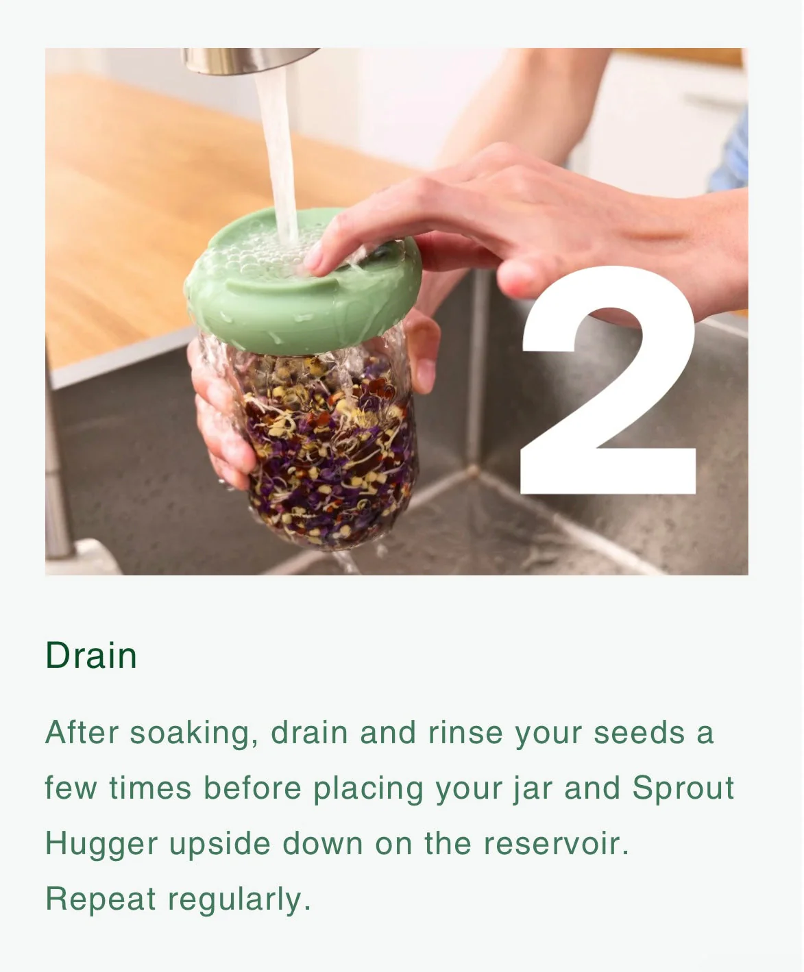 Food Huggers Micro Greens Kit - Image 6