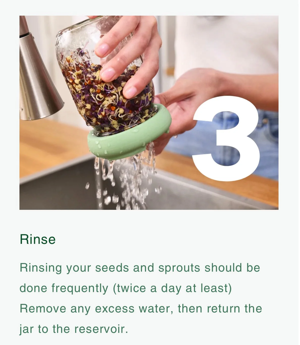 Food Huggers Micro Greens Kit - Image 7