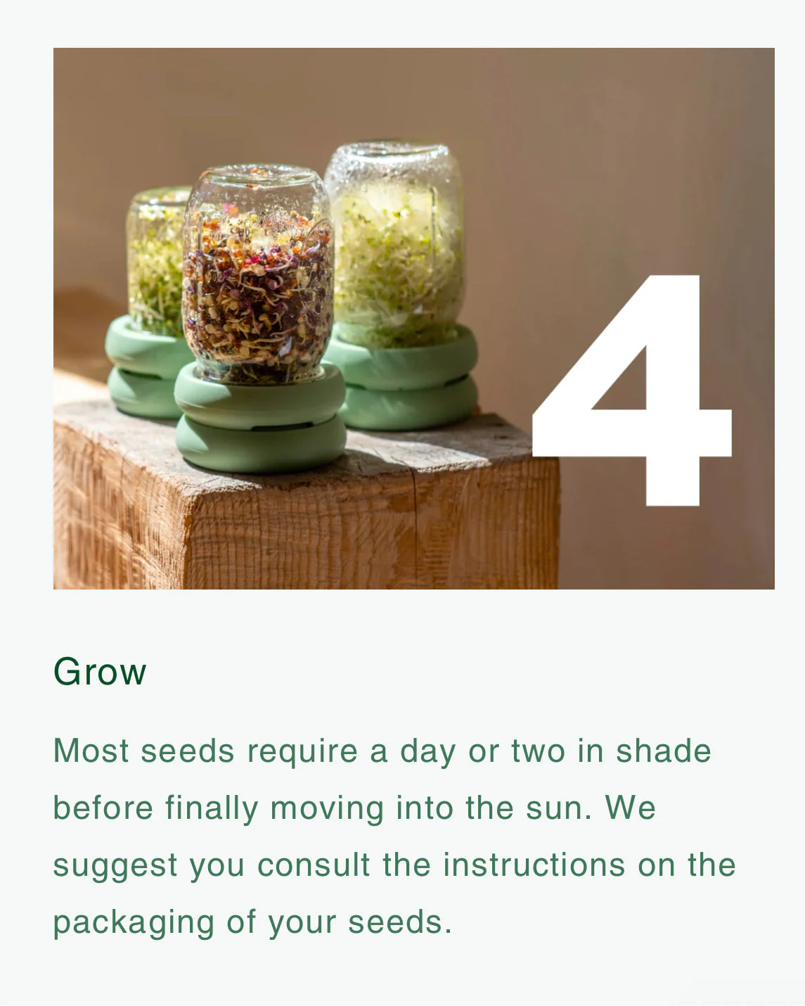 Food Huggers Micro Greens Kit - Image 8