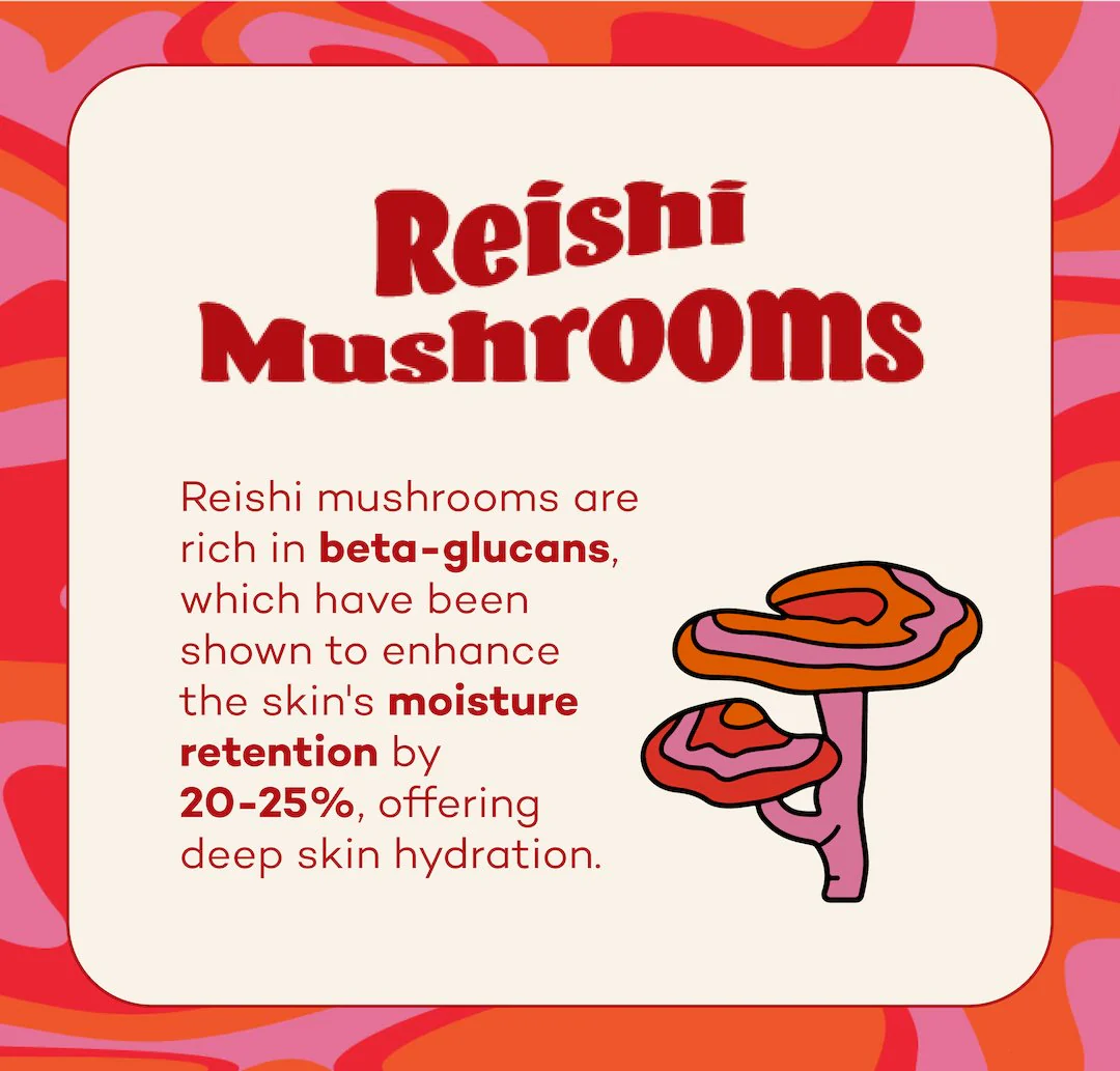 Fungdation - Mushroom Foundation - Image 8