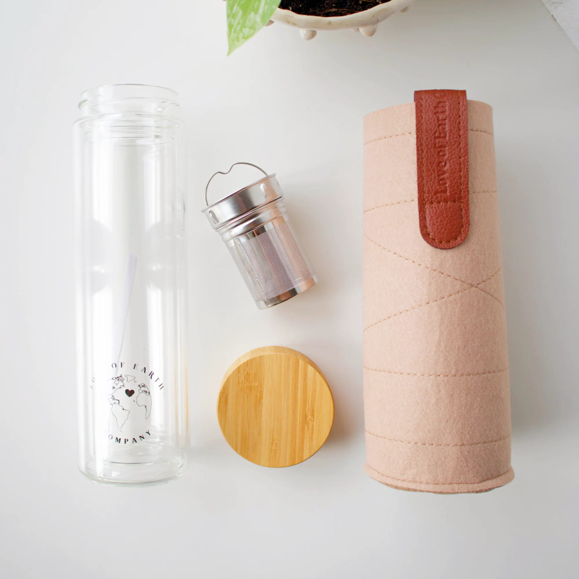 Glass Tea + Coffee Infuser Bottle - Image 4