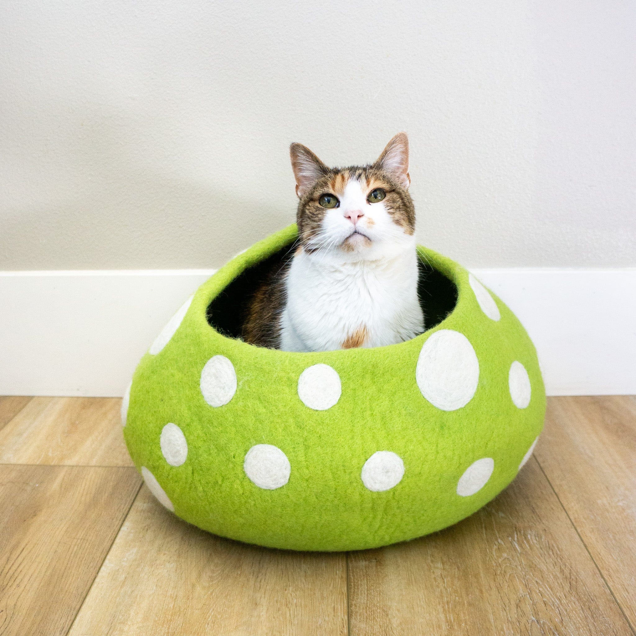 Green Mushroom Eco Kitty Cave - Image 4