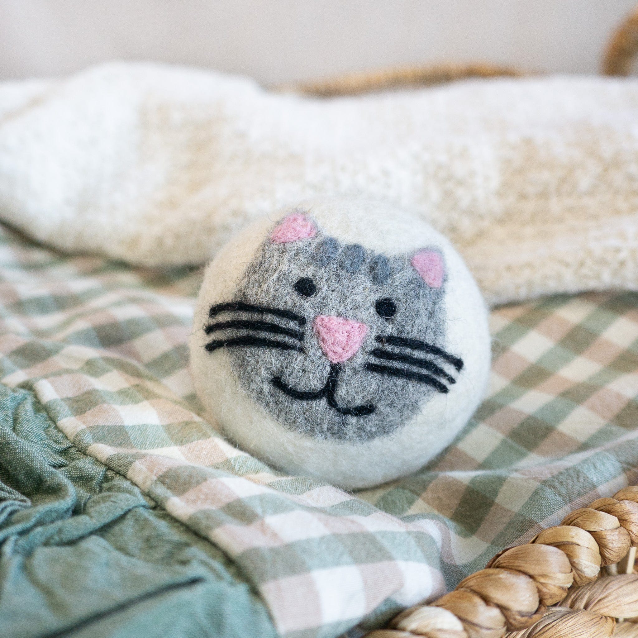 Grey Tabby Cats - Image 4