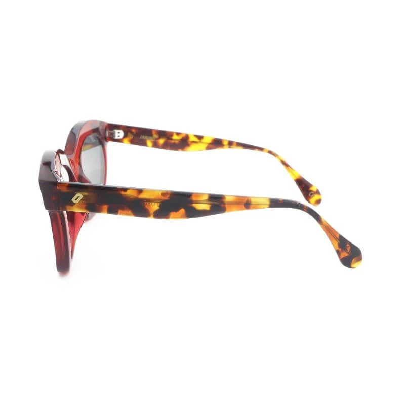 Jabiru - Bio Acetate Sunglasses - Image 11
