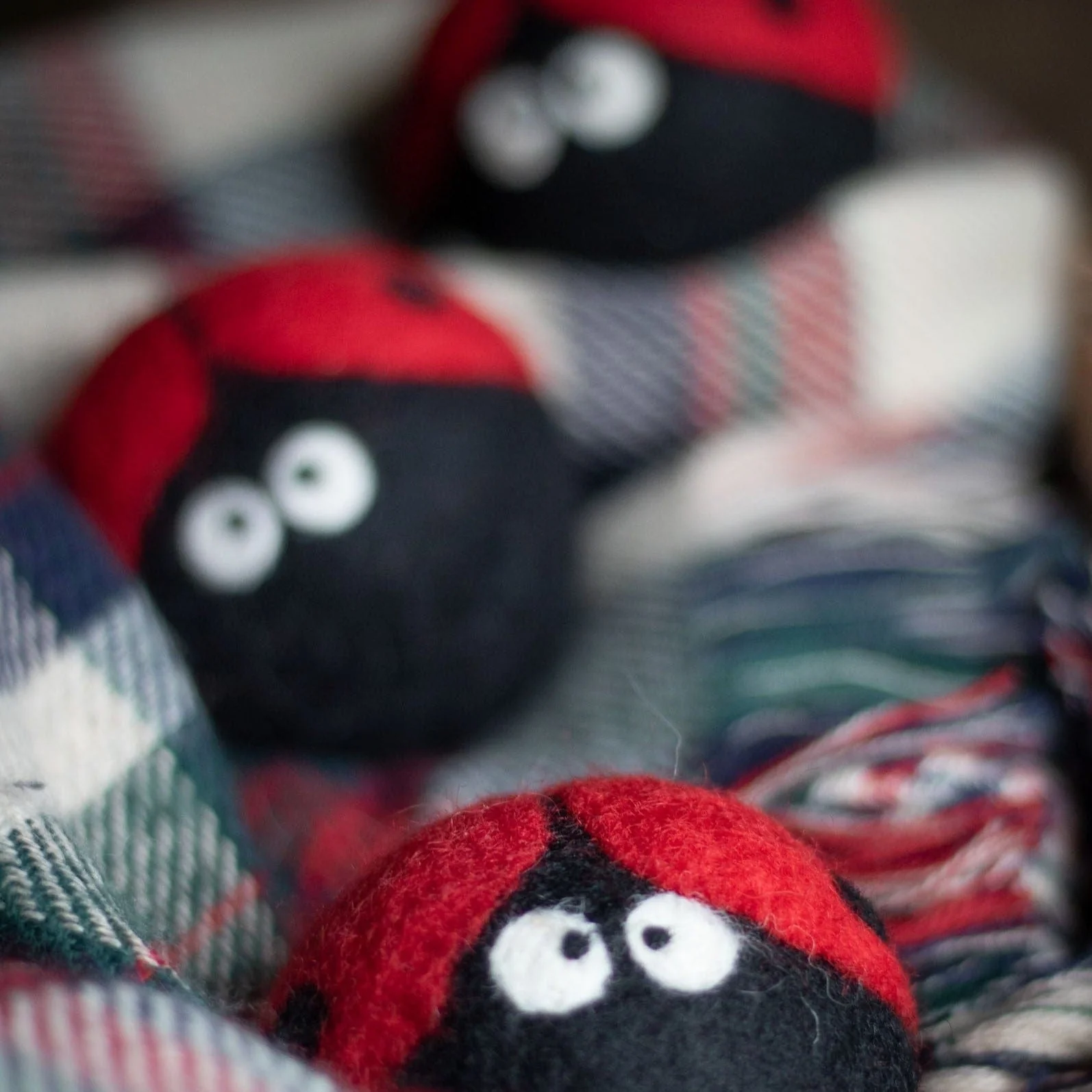Ladybug Trio - Image 2