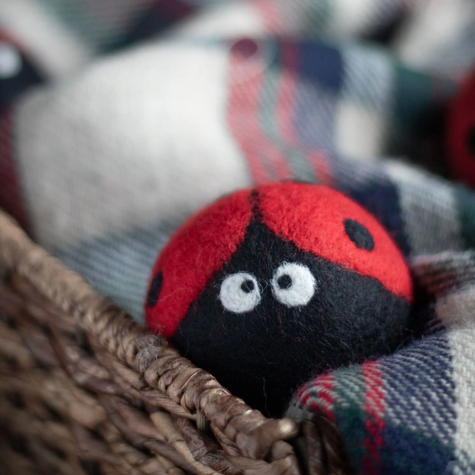 Ladybug Trio - Image 5