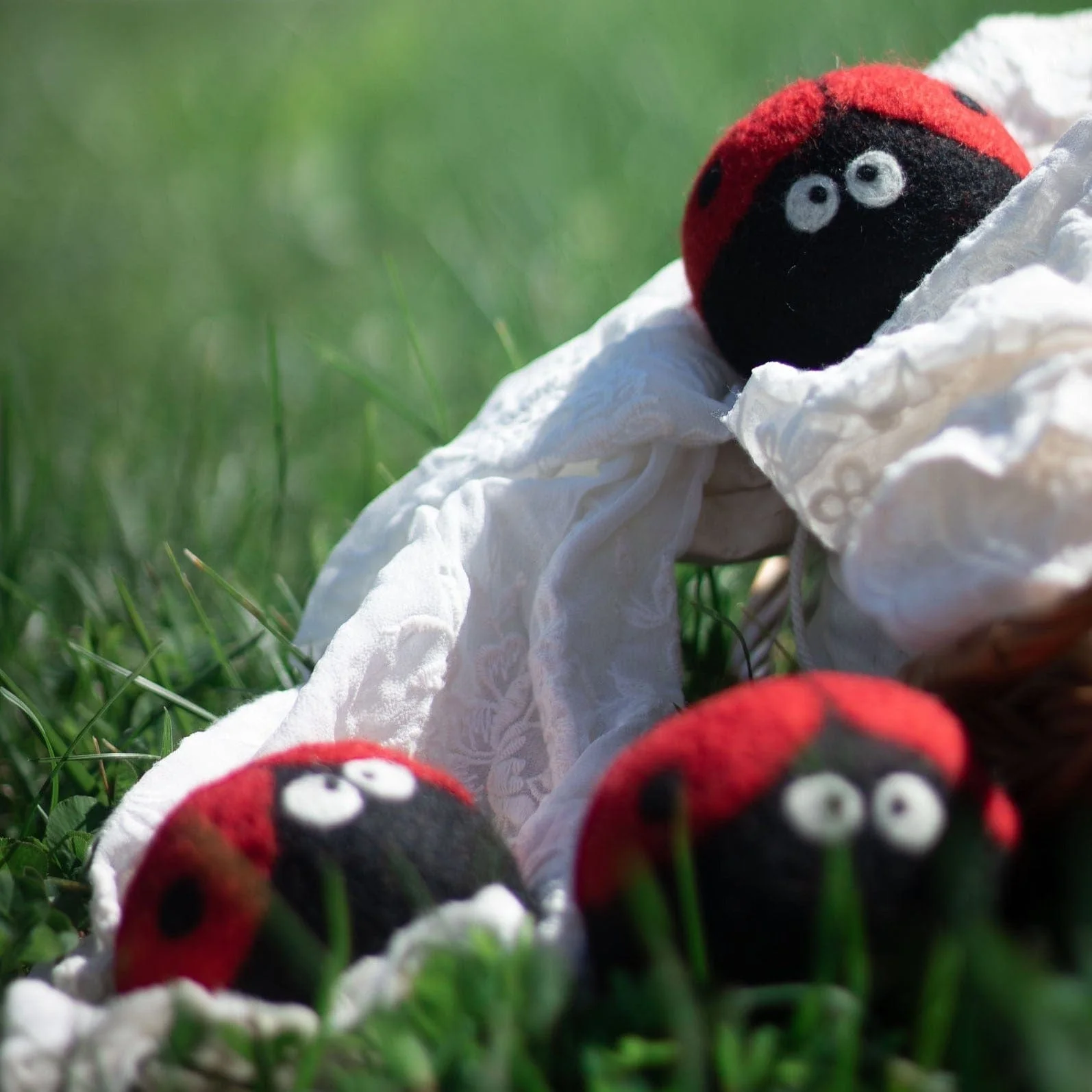Ladybug Trio - Image 6