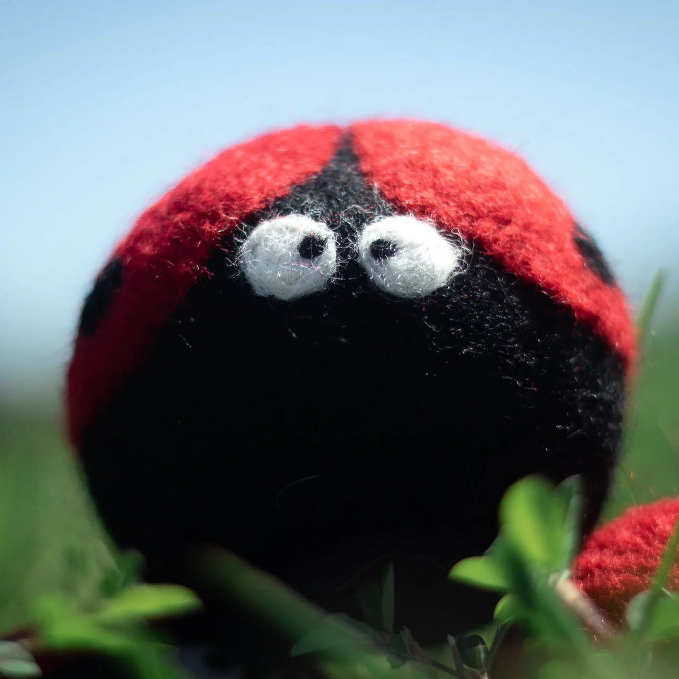 Ladybug Trio - Image 7