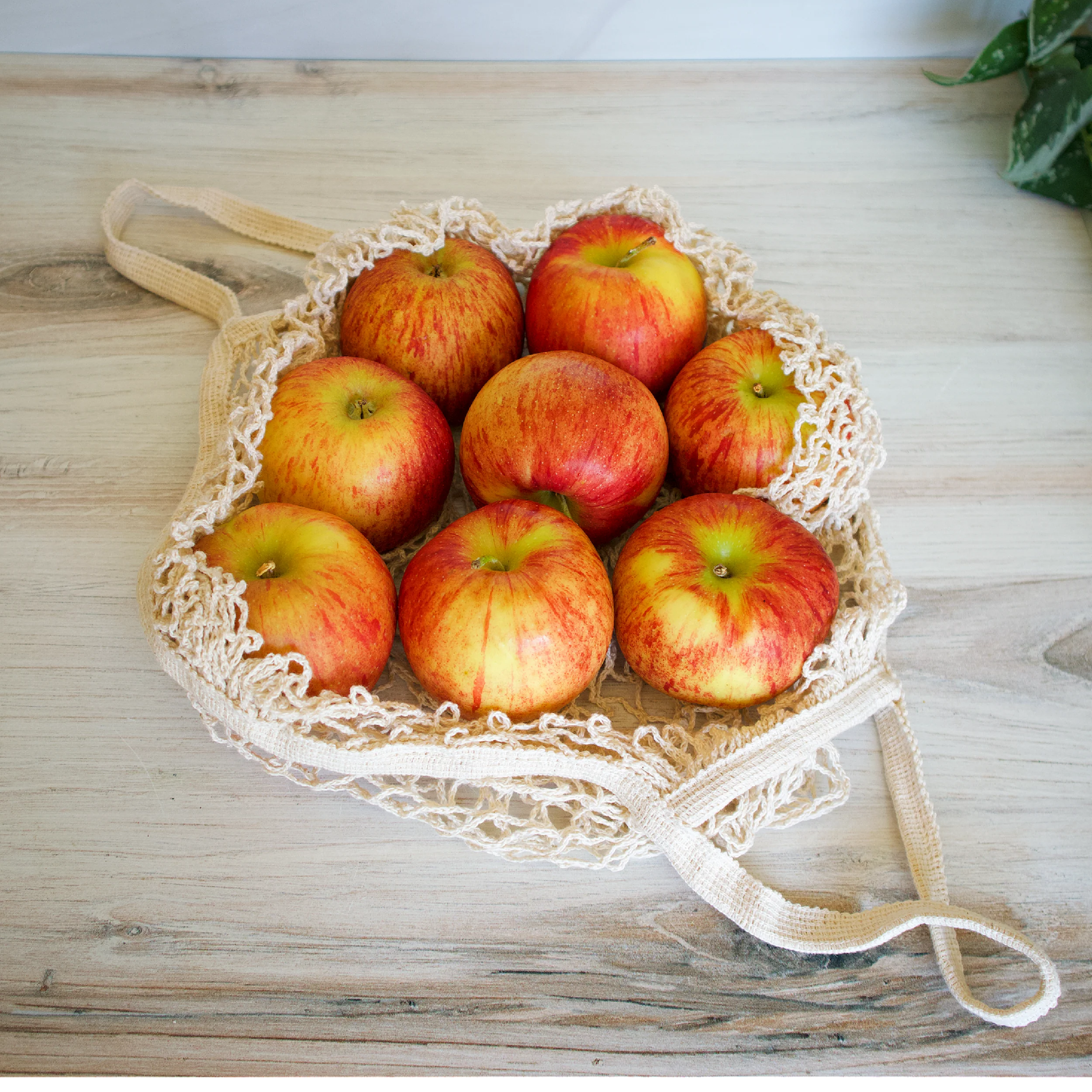 LARGE Mesh Cotton Produce Bags - Image 2