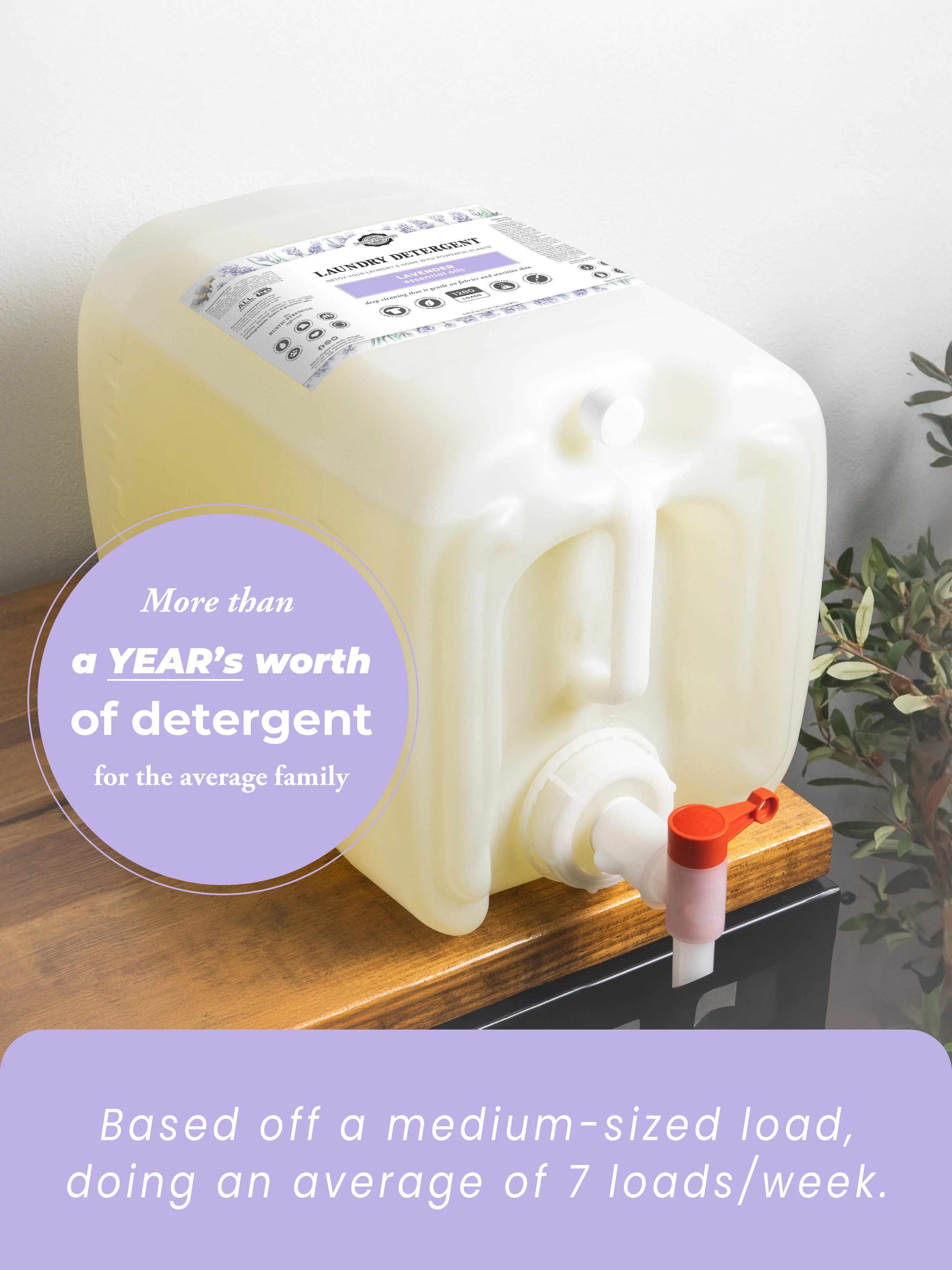Laundry Detergent | Lavender - Image 17