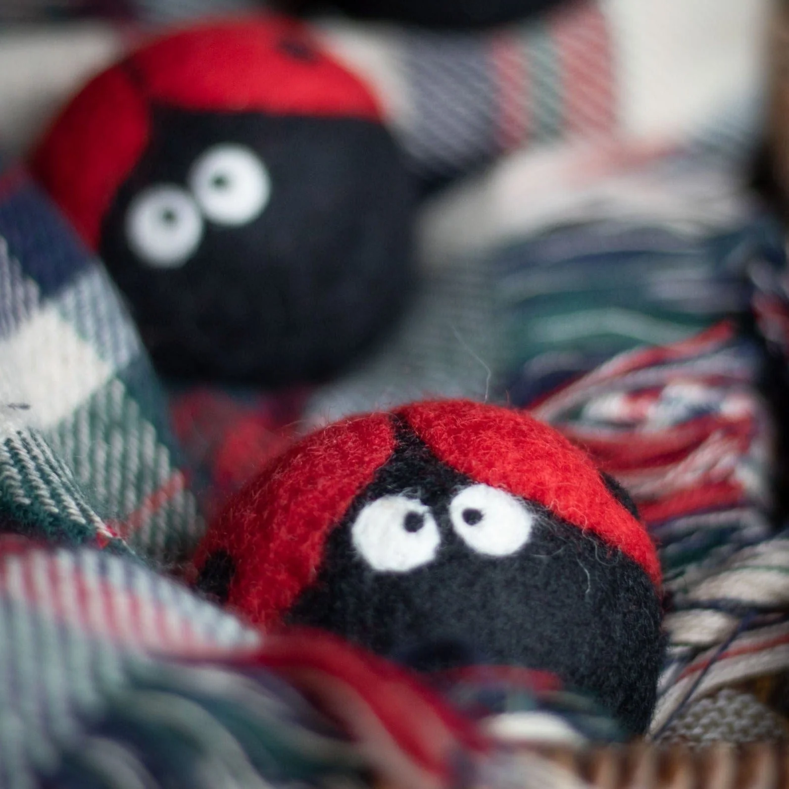 Laundrybugs - Image 10