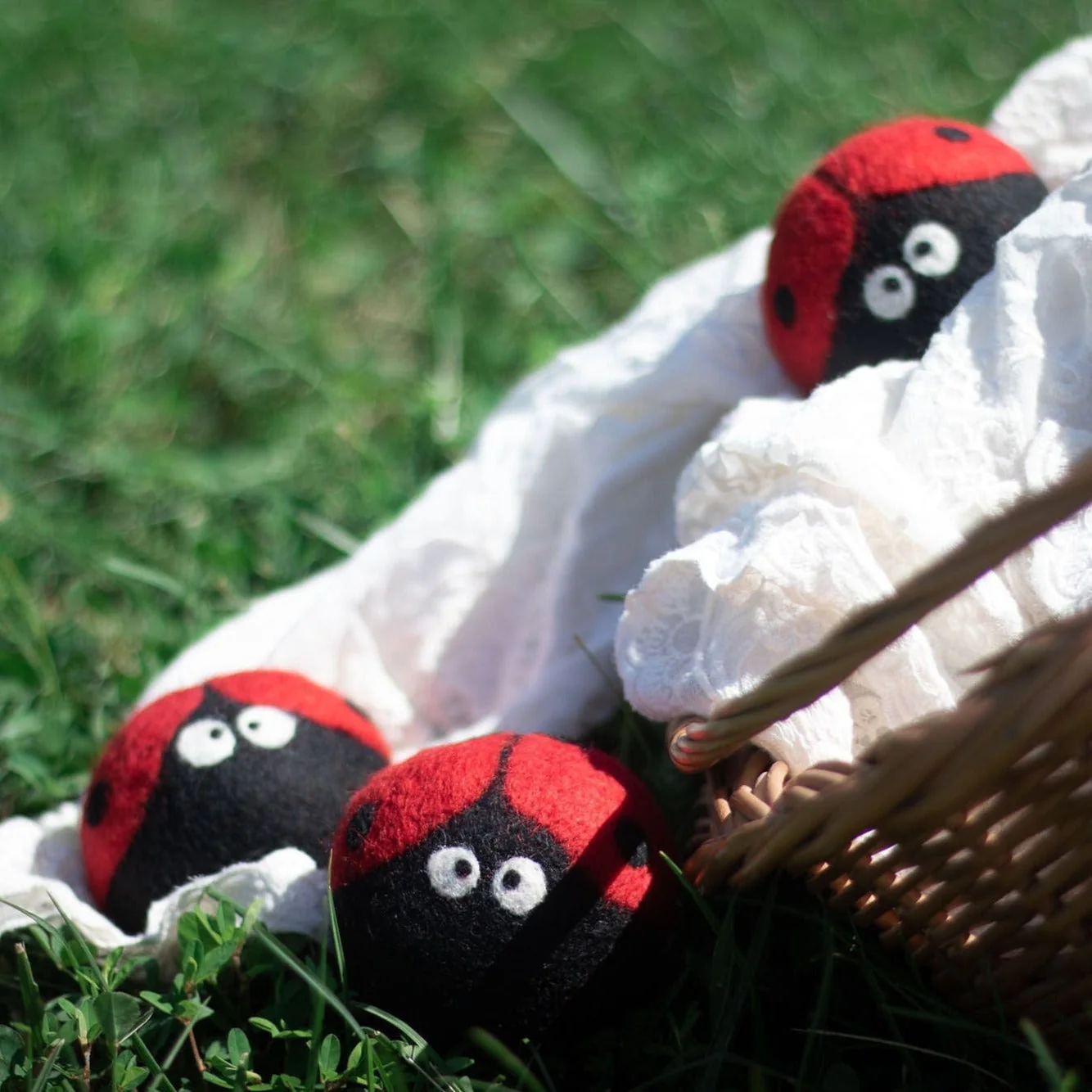 Laundrybugs - Image 9