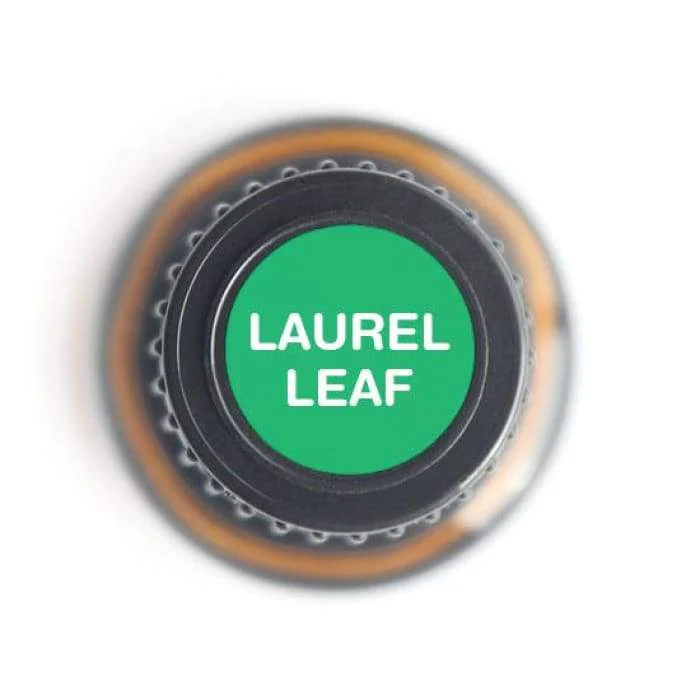 Laurel Leaf Pure Essential Oil - 15ml - Image 2