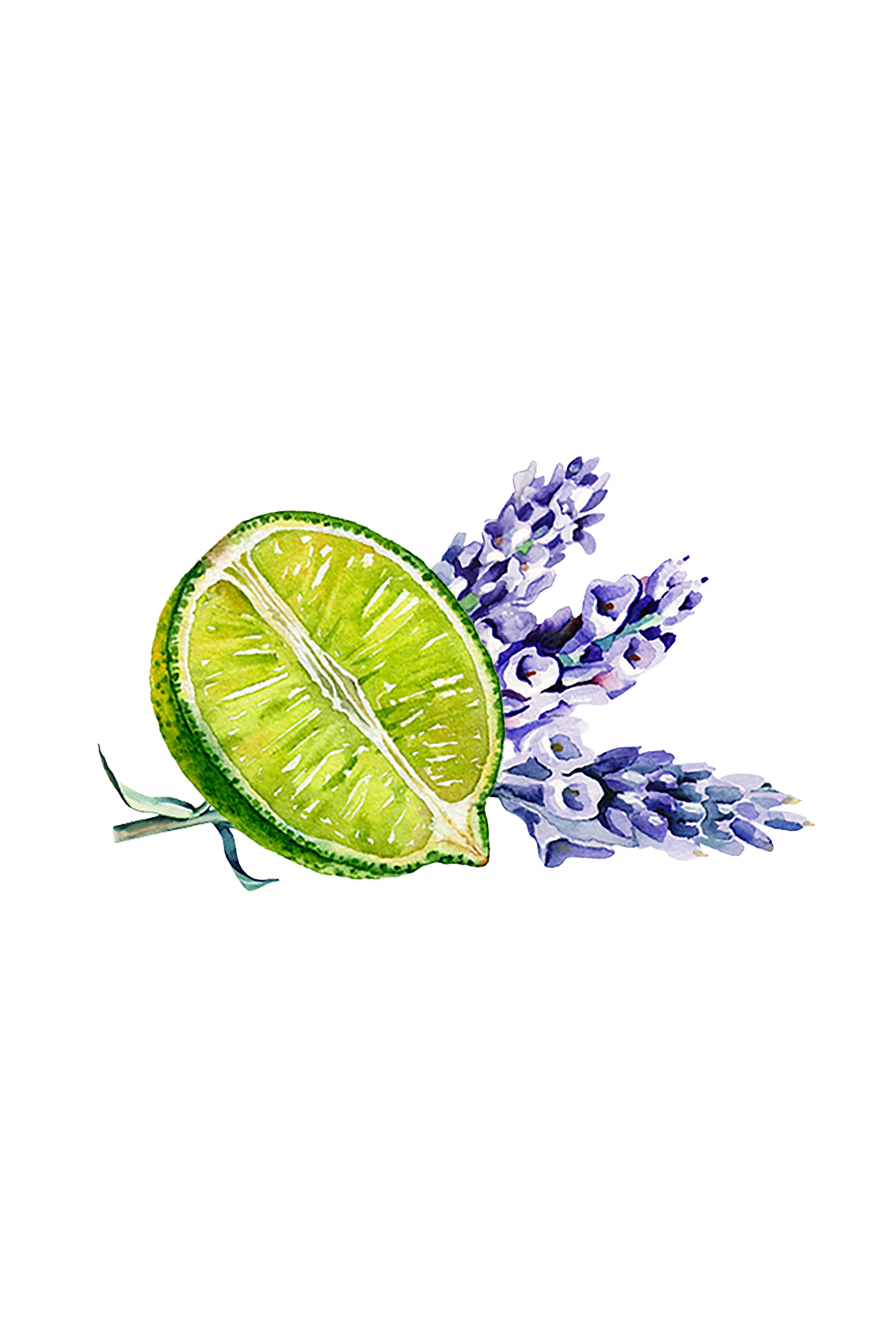 Lavender & Lime Essential Oil Blend - Image 2