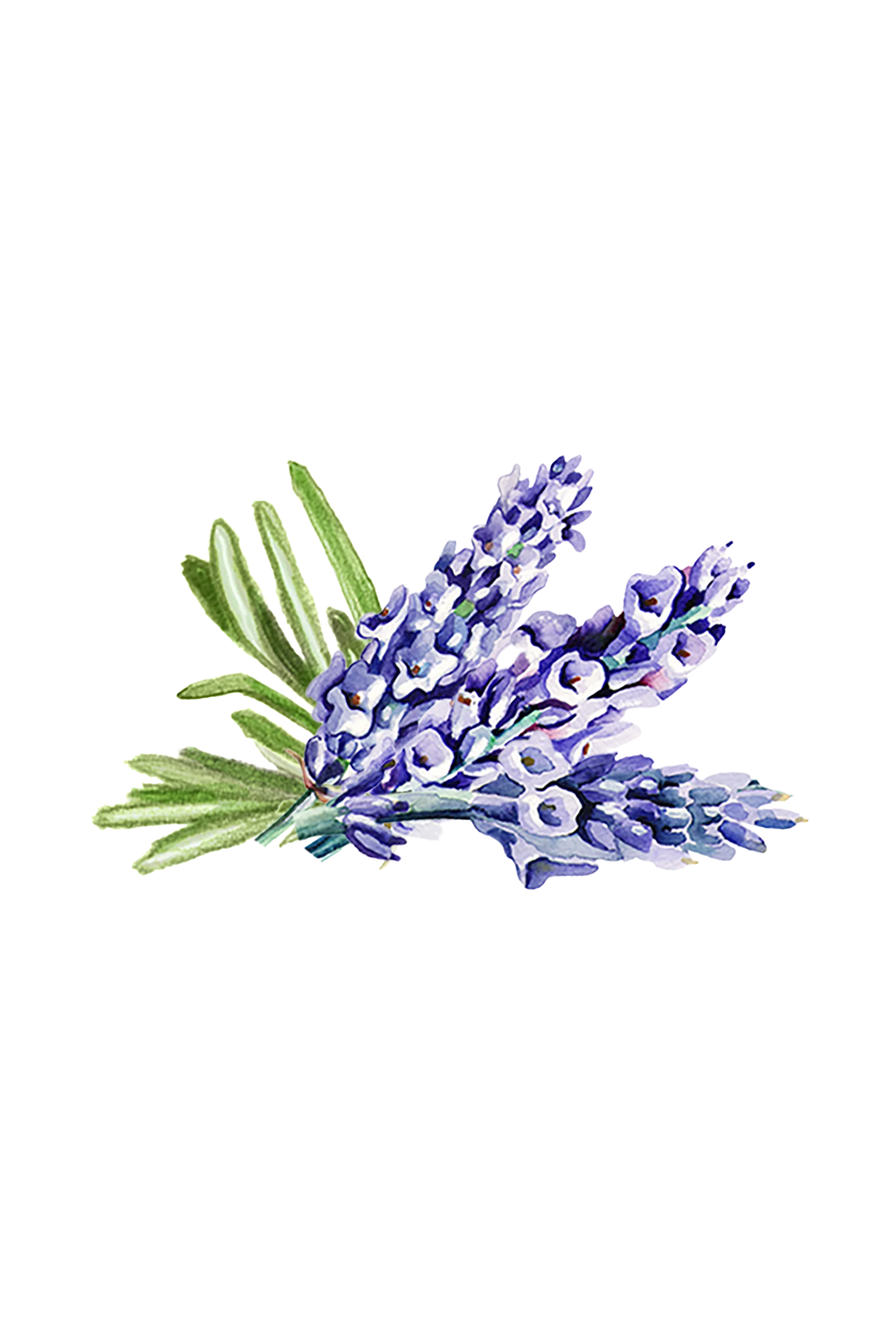 Lavender & Rosemary Essential Oil Blend - Image 2