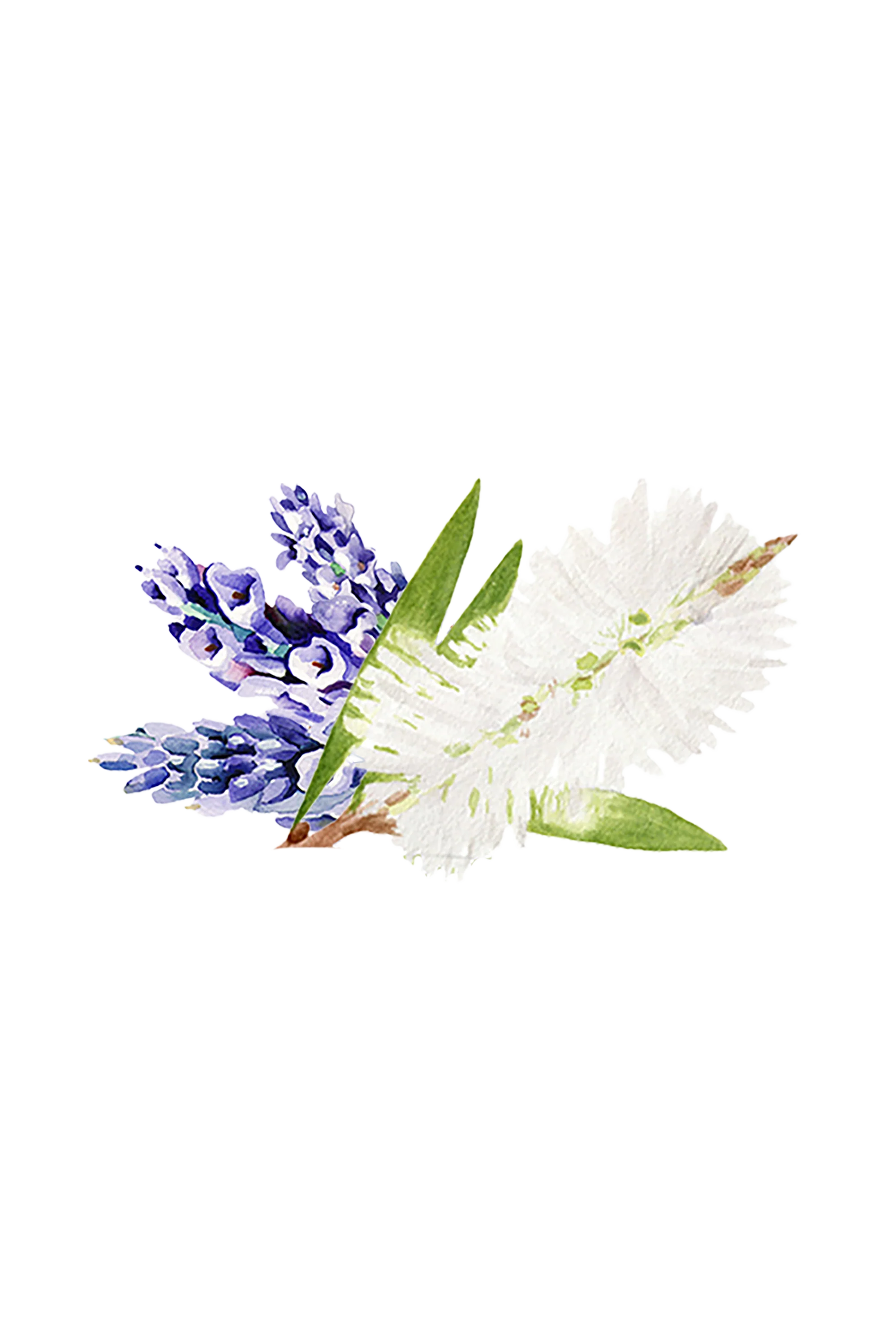 Lavender & Tea Tree Essential Oil Blend - Image 2