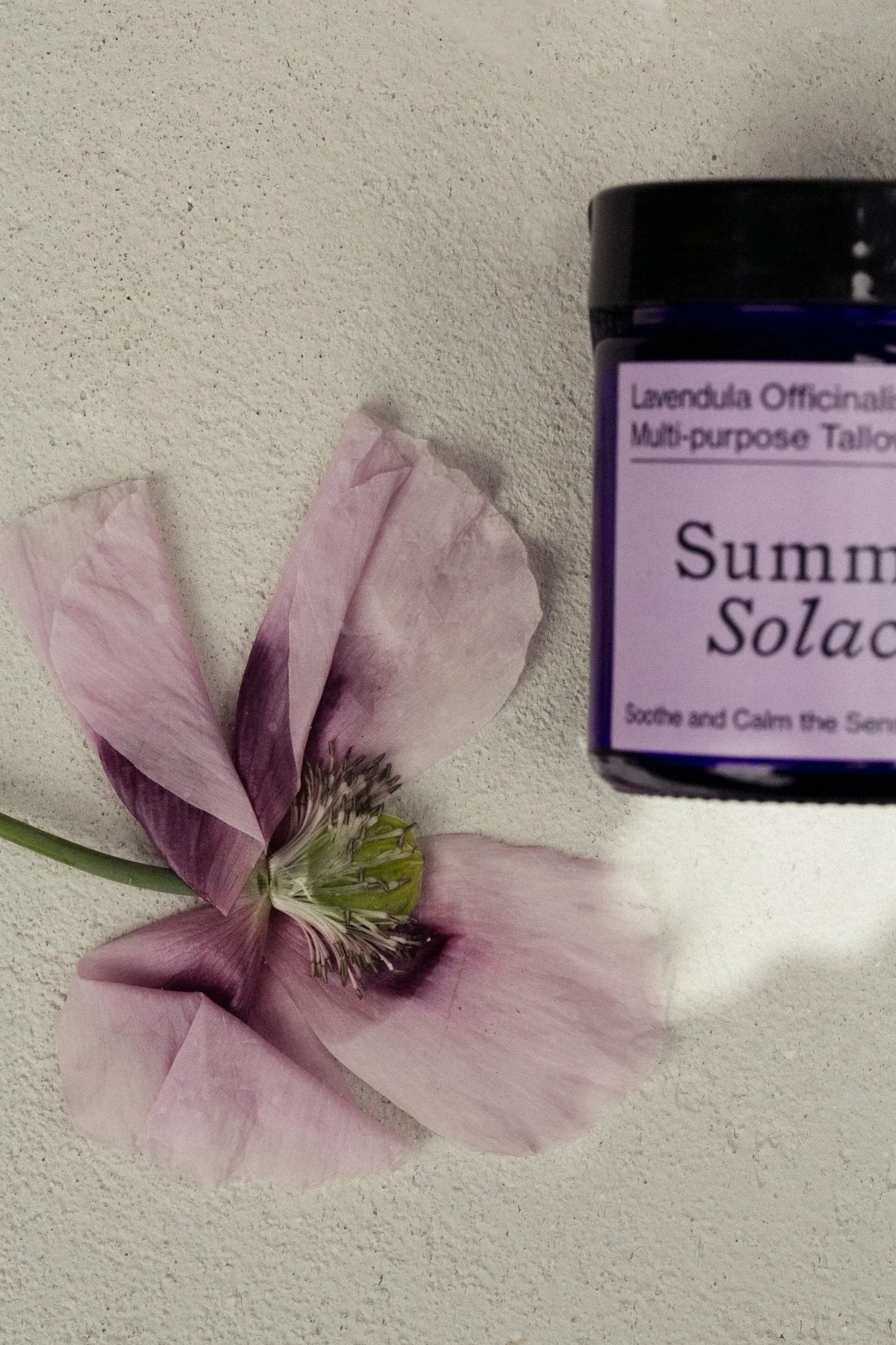 Lavendula Balm – Calming Floral Blend | Lavender & Golden Champa - Image 7
