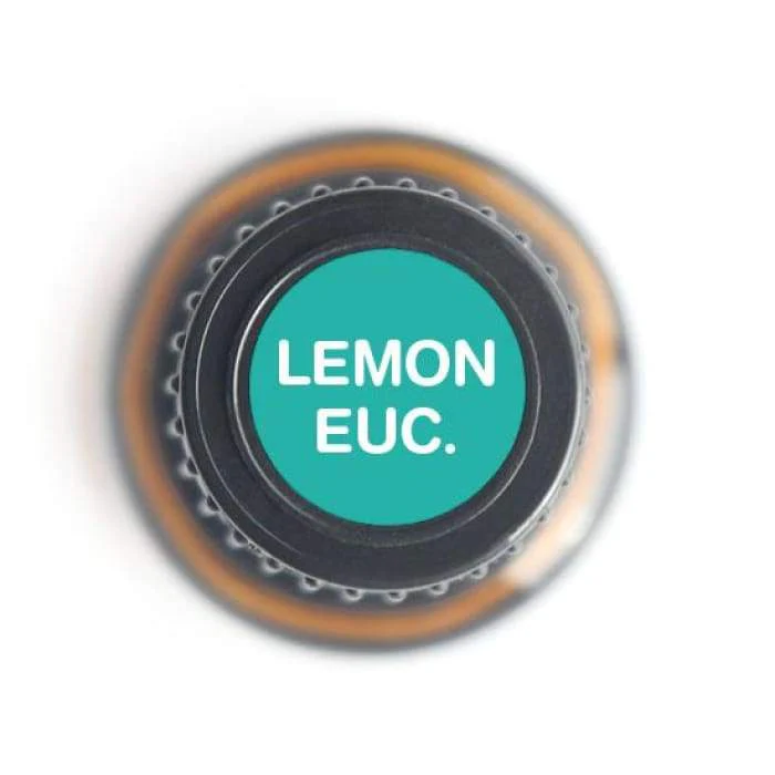Lemon Eucalyptus Pure Essential Oil - 15ml - Image 2