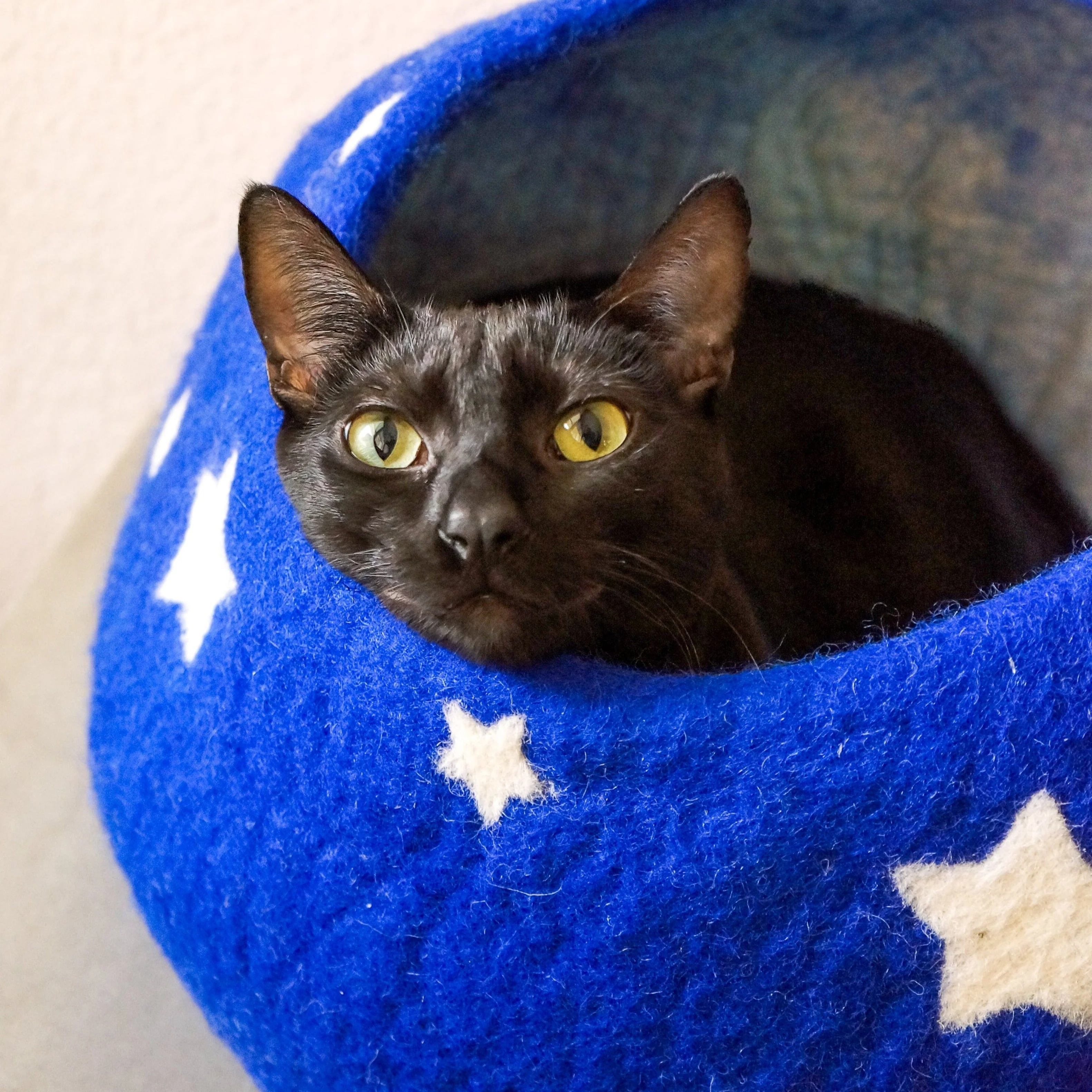 Midnight Stars Eco Kitty Cave - Image 3