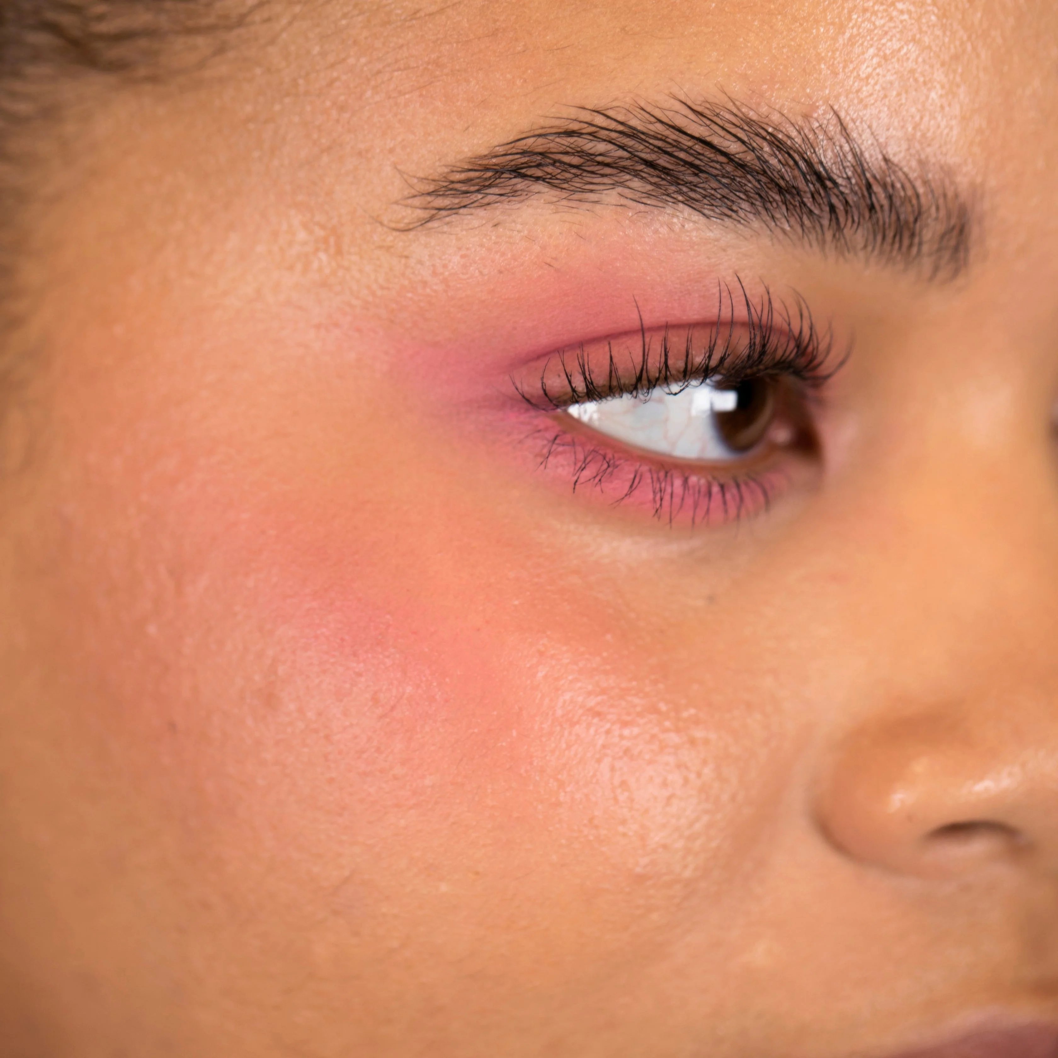 MINERAL BLUSH - Image 24