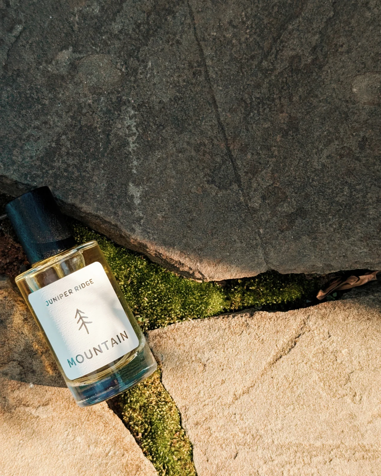 Mountain Wilderness Cologne - Image 2
