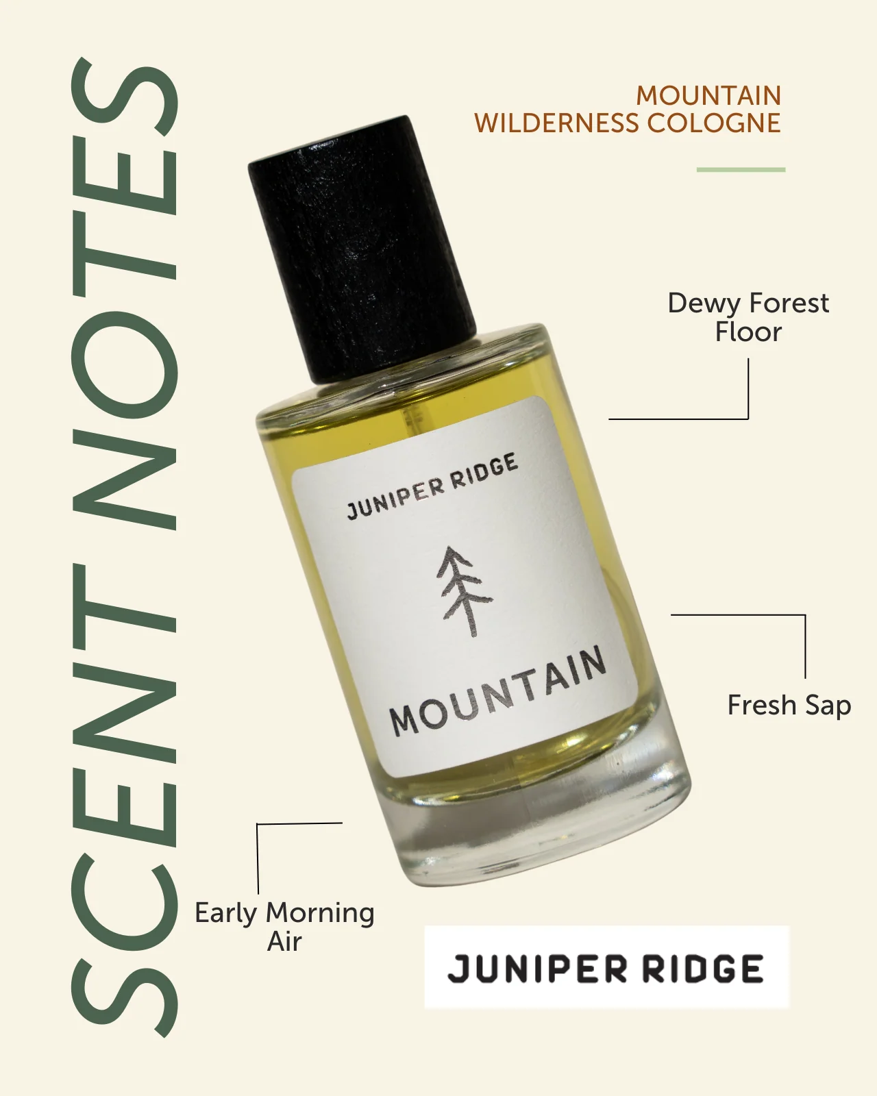Mountain Wilderness Cologne - Image 3