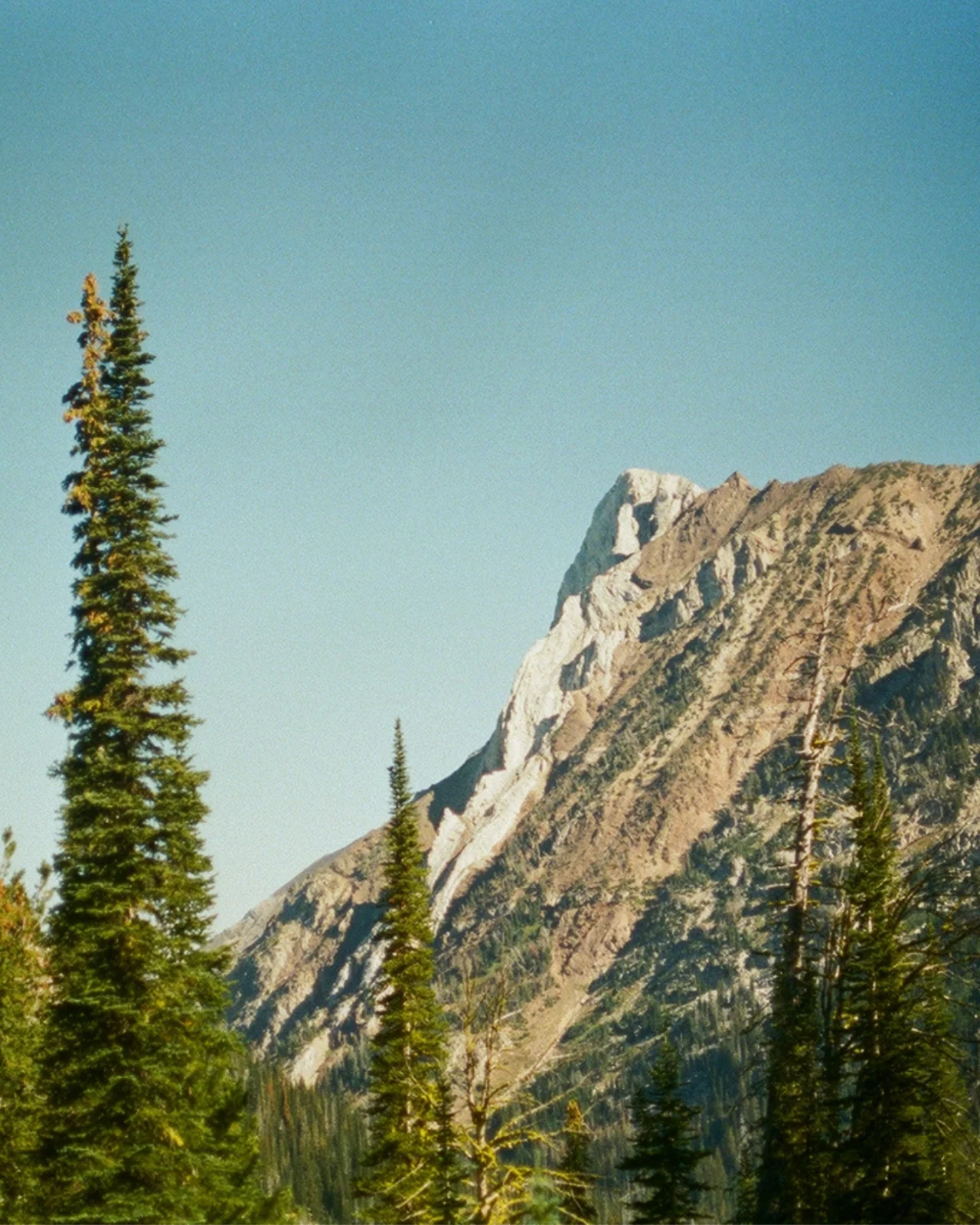 Mountain Wilderness Cologne - Image 4