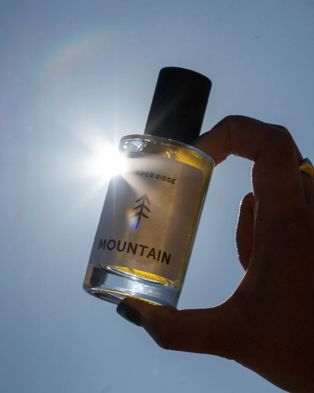 Mountain Wilderness Cologne - Image 5