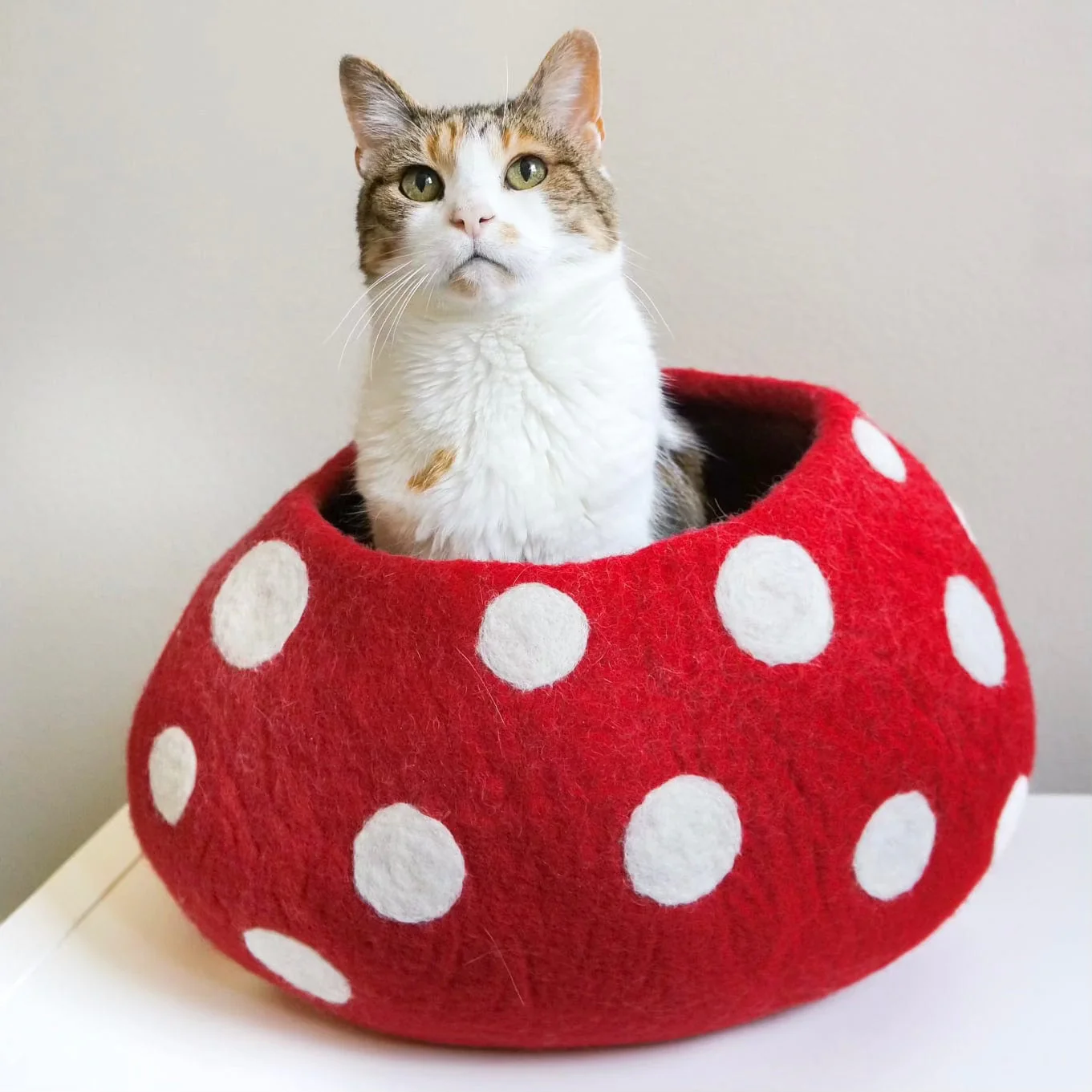 Mushroom Eco Kitty Cave - Red - Image 3