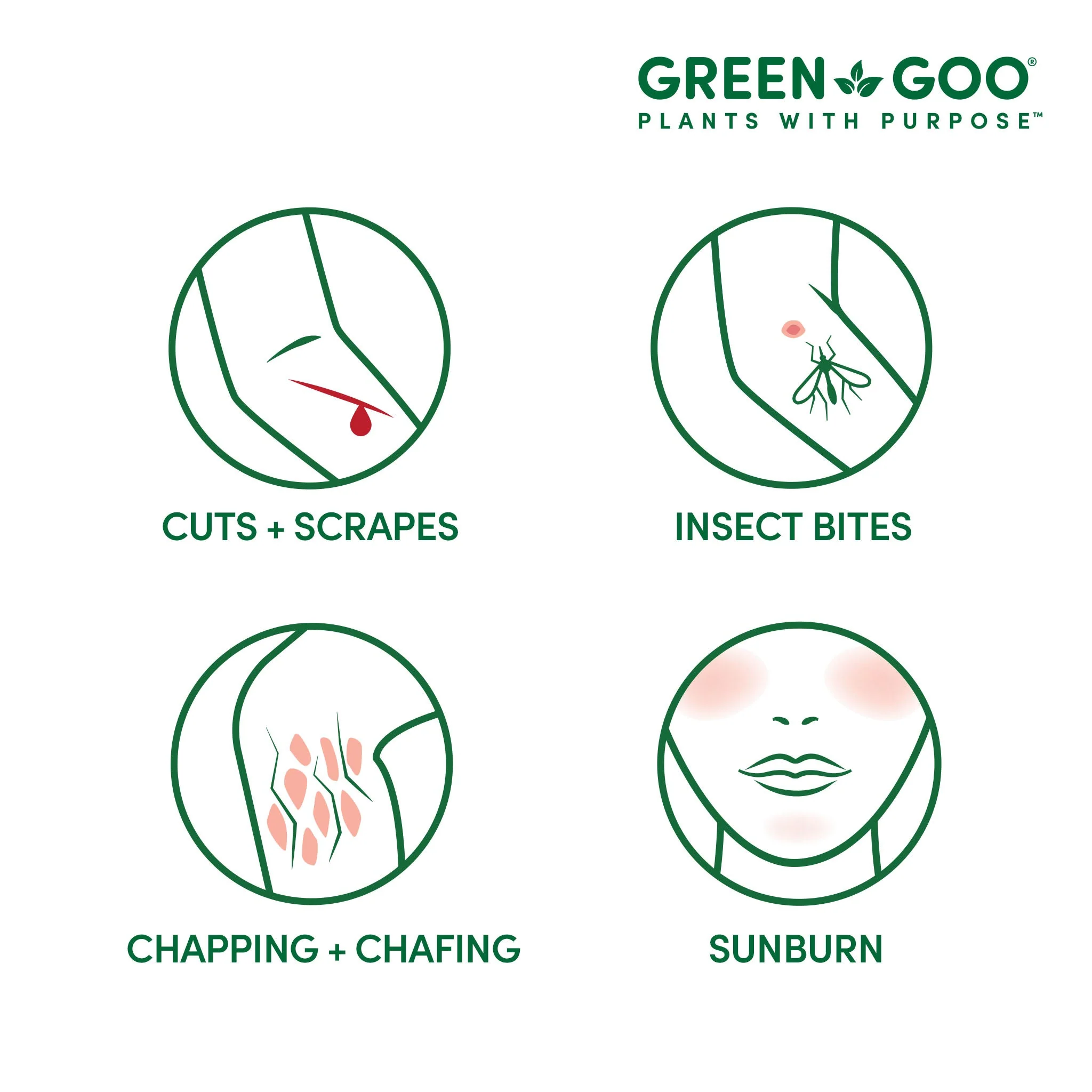 Natural First Aid - Image 10