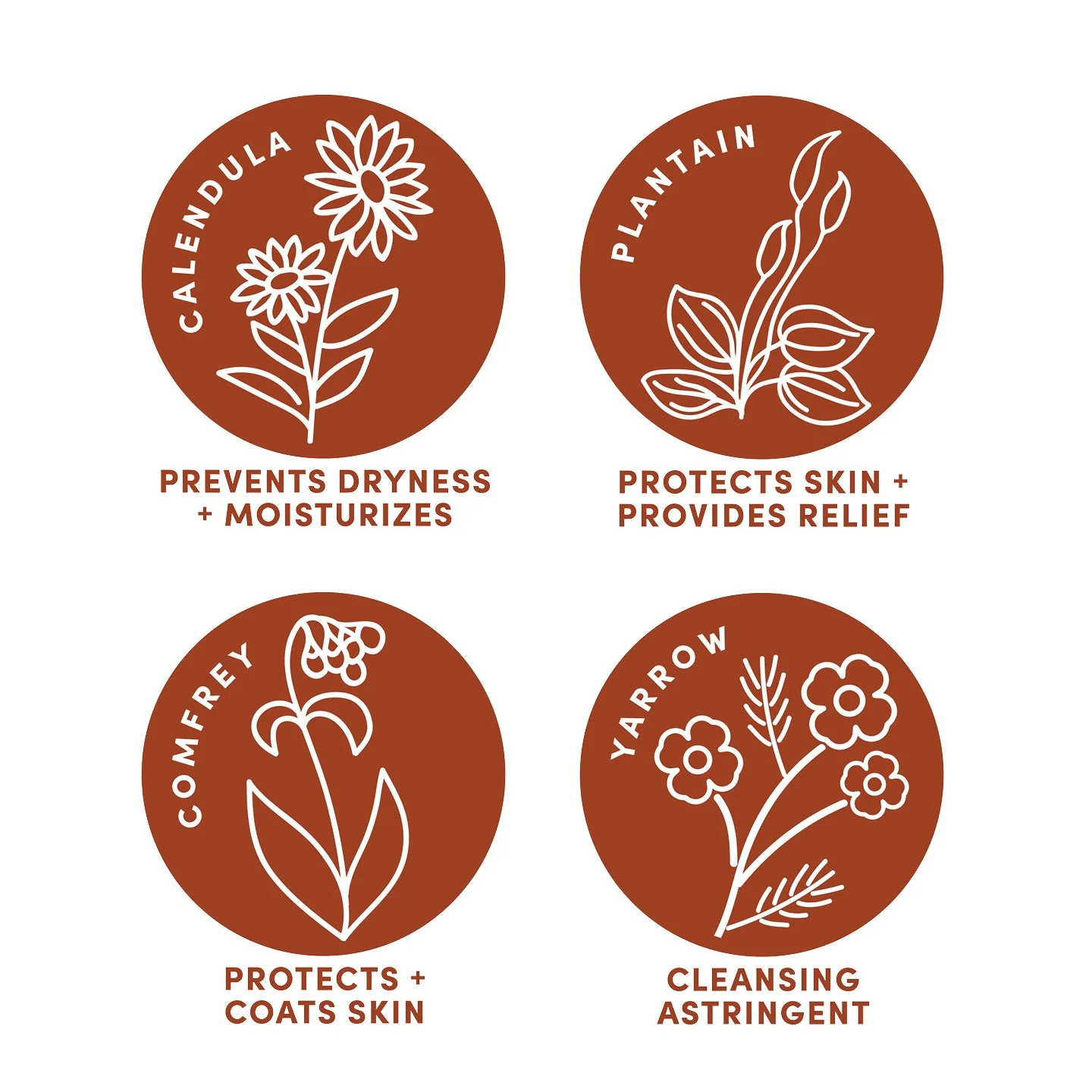 Natural First Aid - Image 5