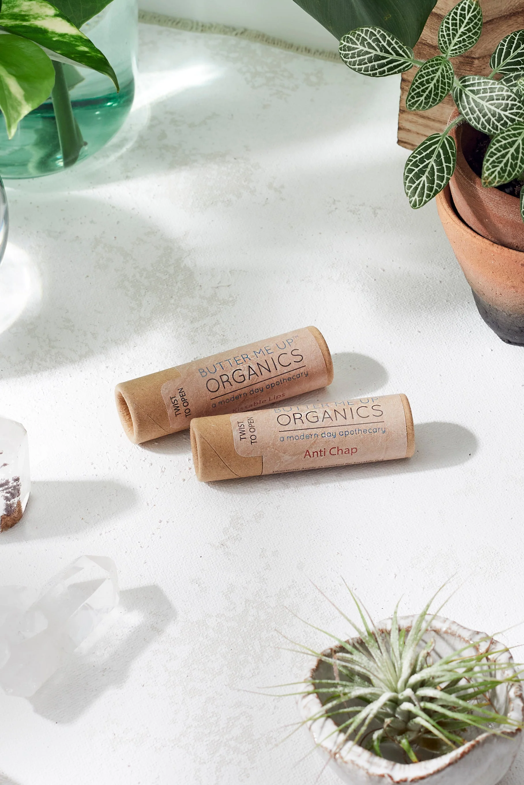Organic Anti-Chap Lip Balm / Chapped Lips / Organic Lip Moisturizer / PAPERBOARD Tube - Image 2