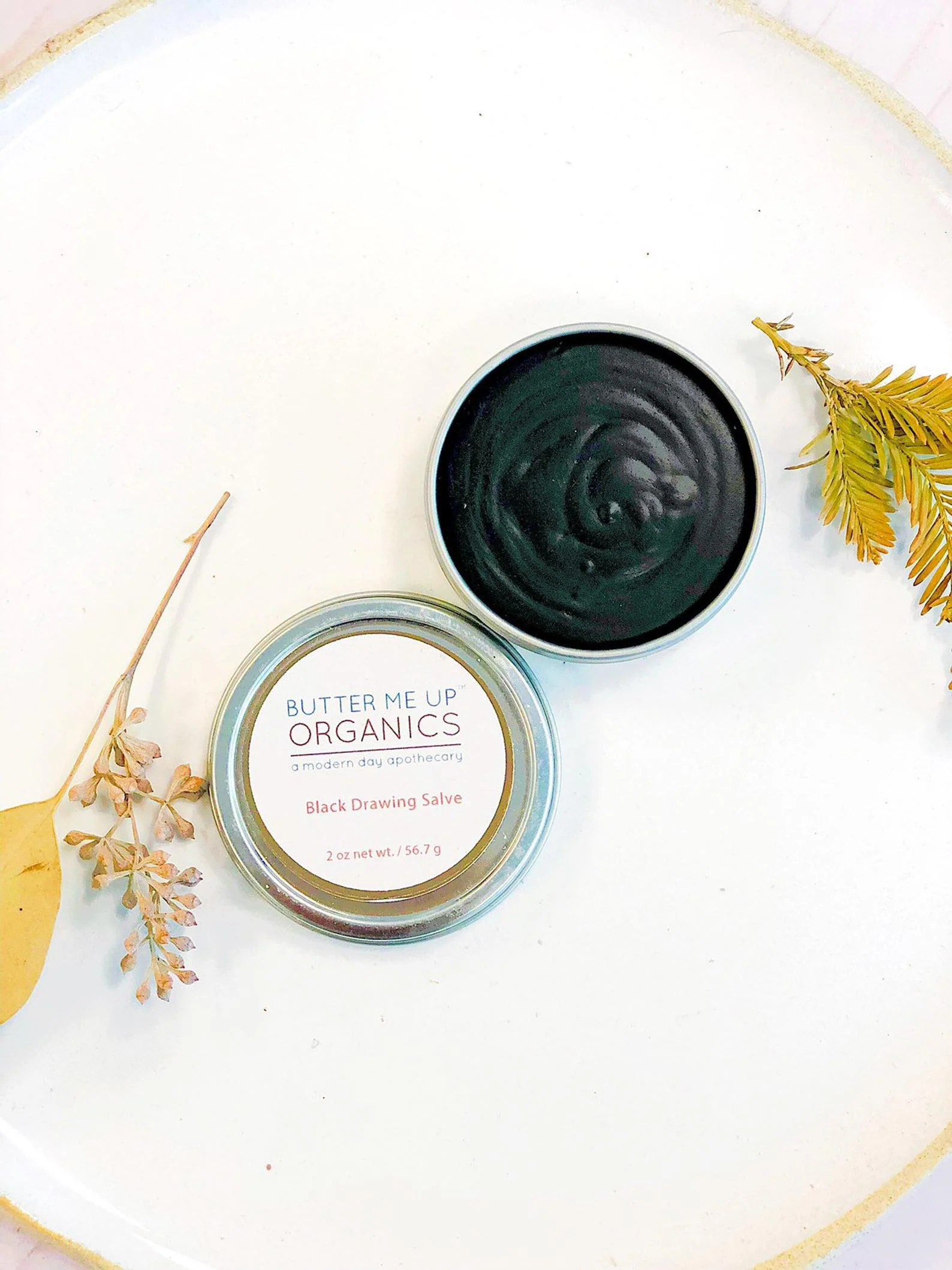 Organic Black Drawing Salve / Bee Stings / Rashes / Skin Ailments / Organic Skincare - Image 2