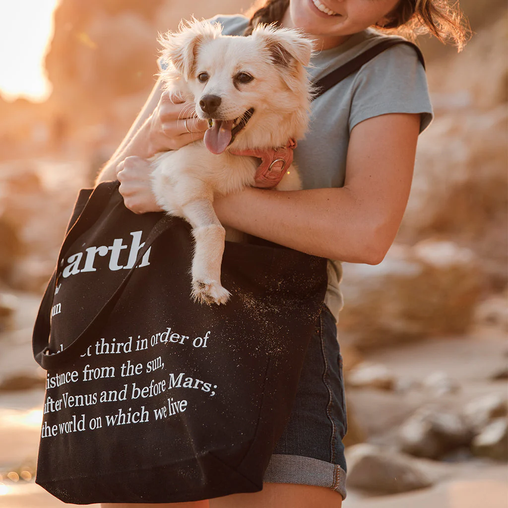 Organic Cotton Canvas Tote Bag - Avani Tote - Image 33