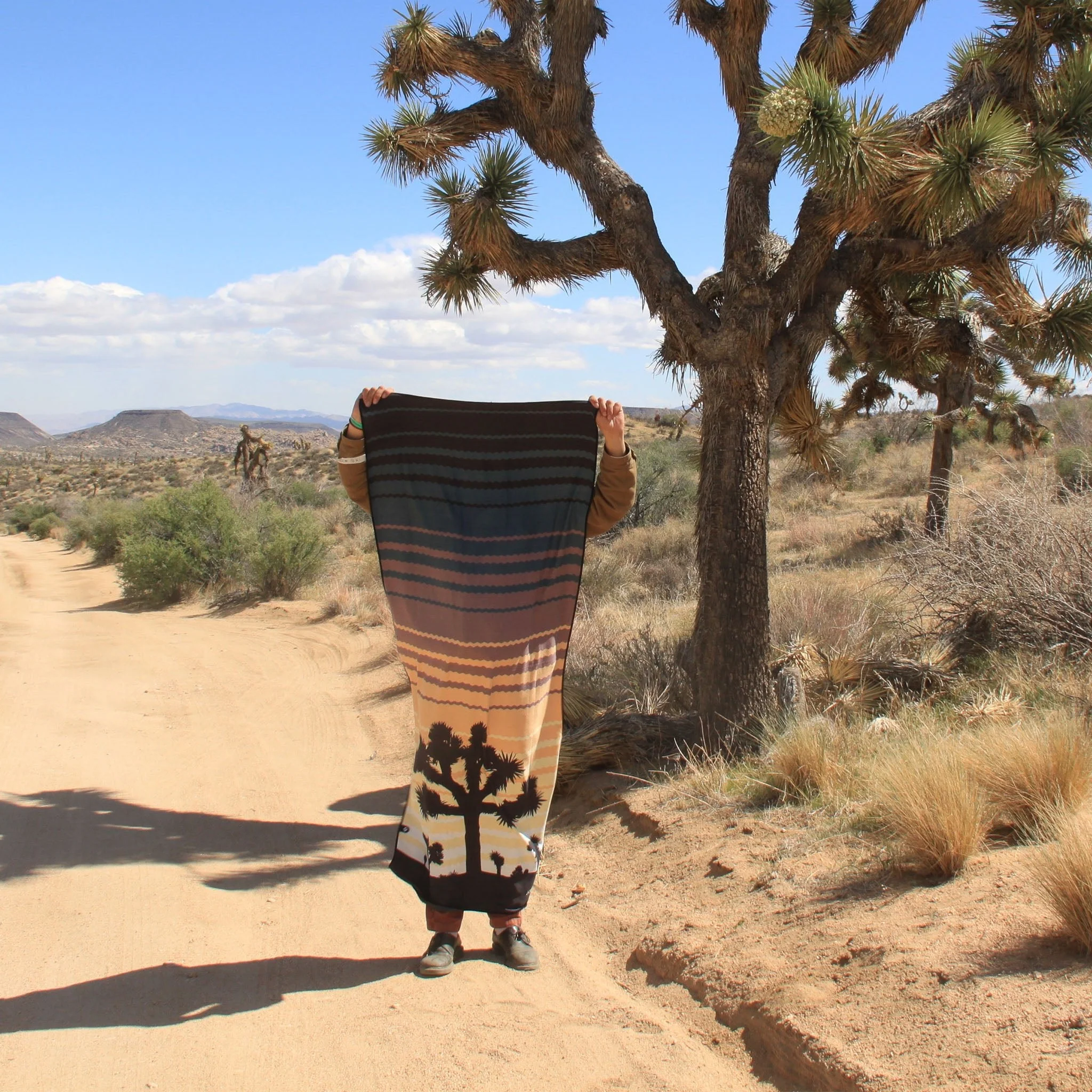 Original Towel: Joshua Tree National Park - Image 2