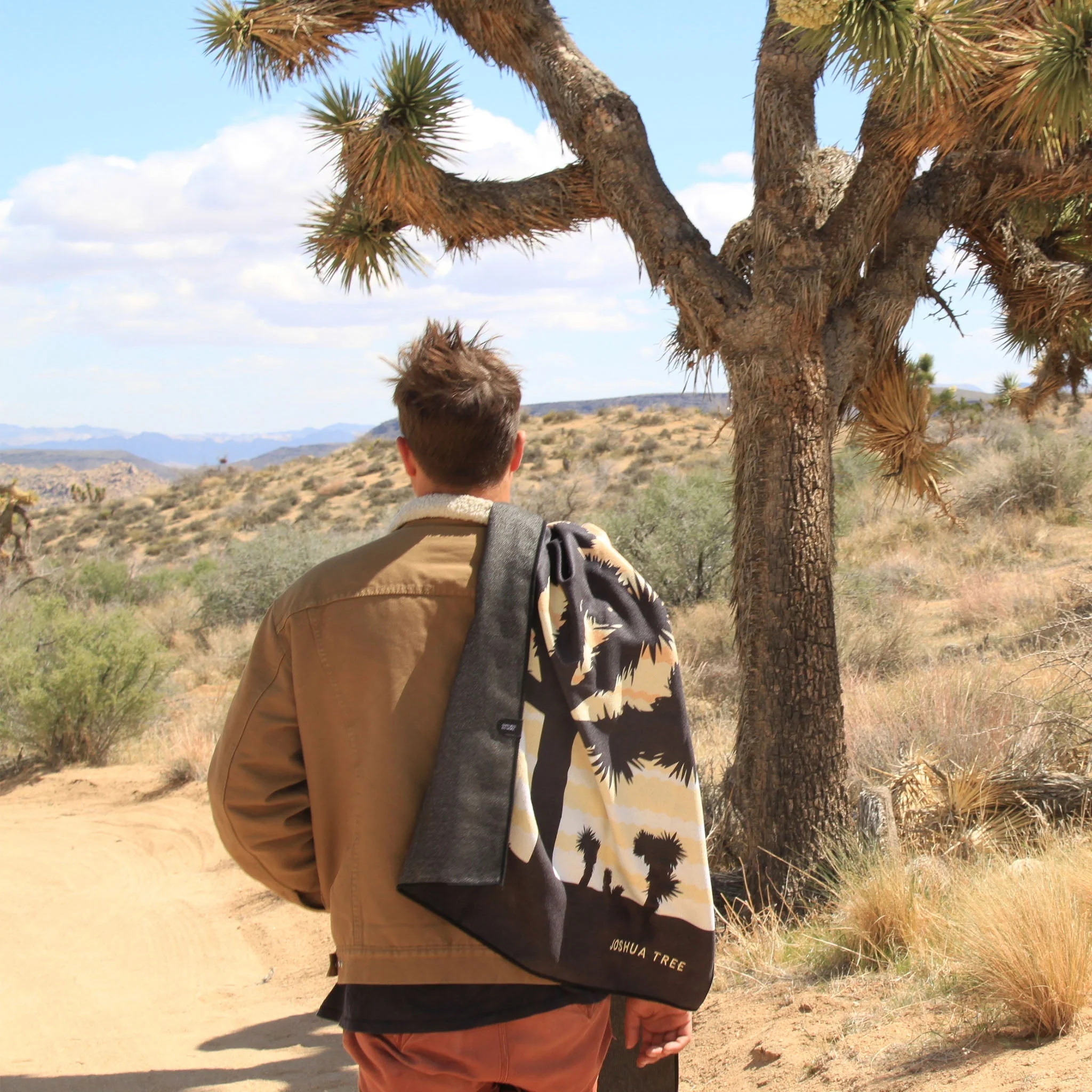 Original Towel: Joshua Tree National Park - Image 3