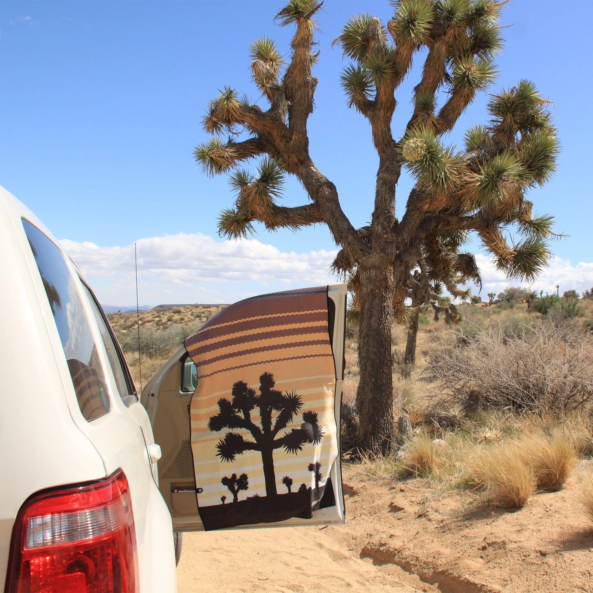 Original Towel: Joshua Tree National Park - Image 4