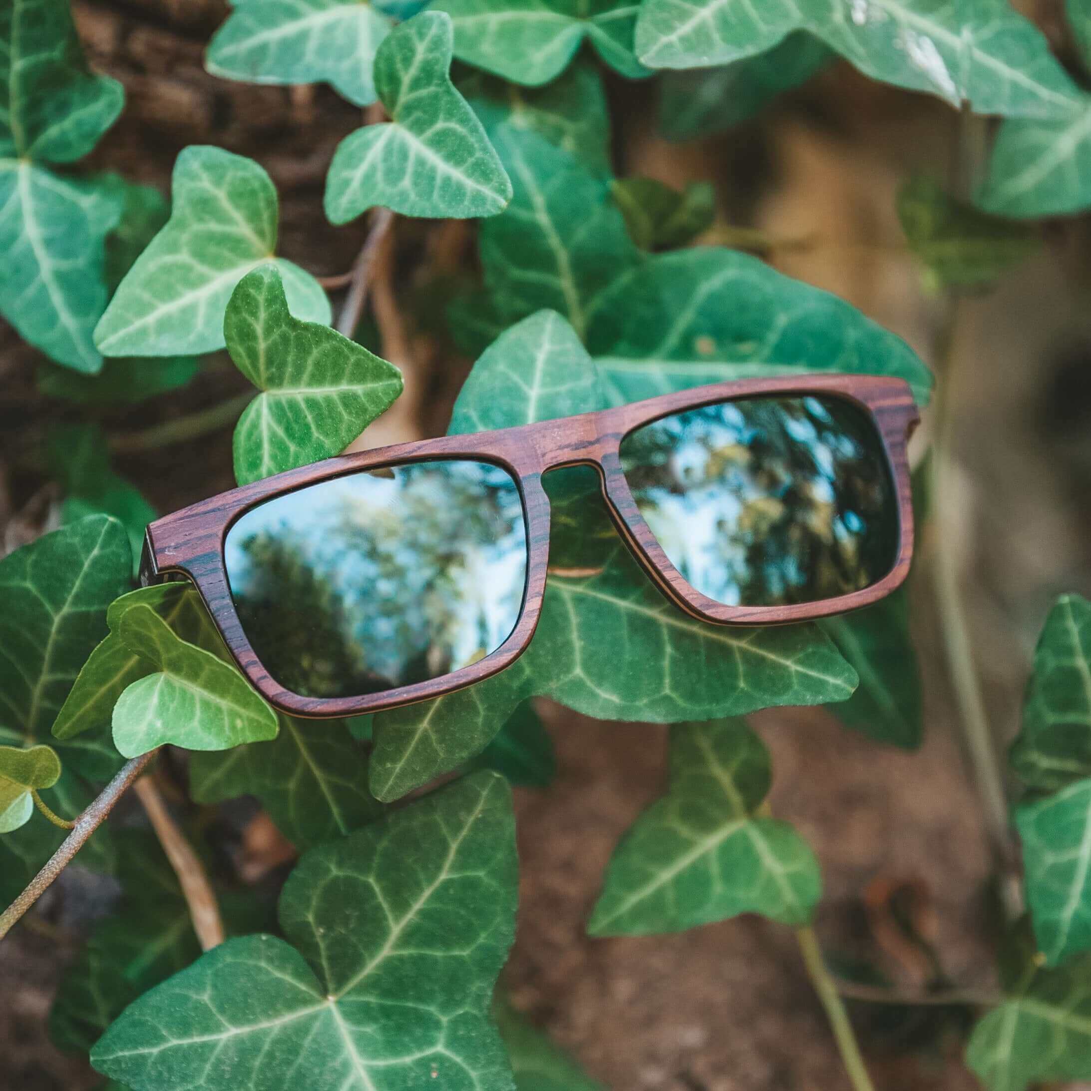 Palau - Wooden Sunglasses - Image 6