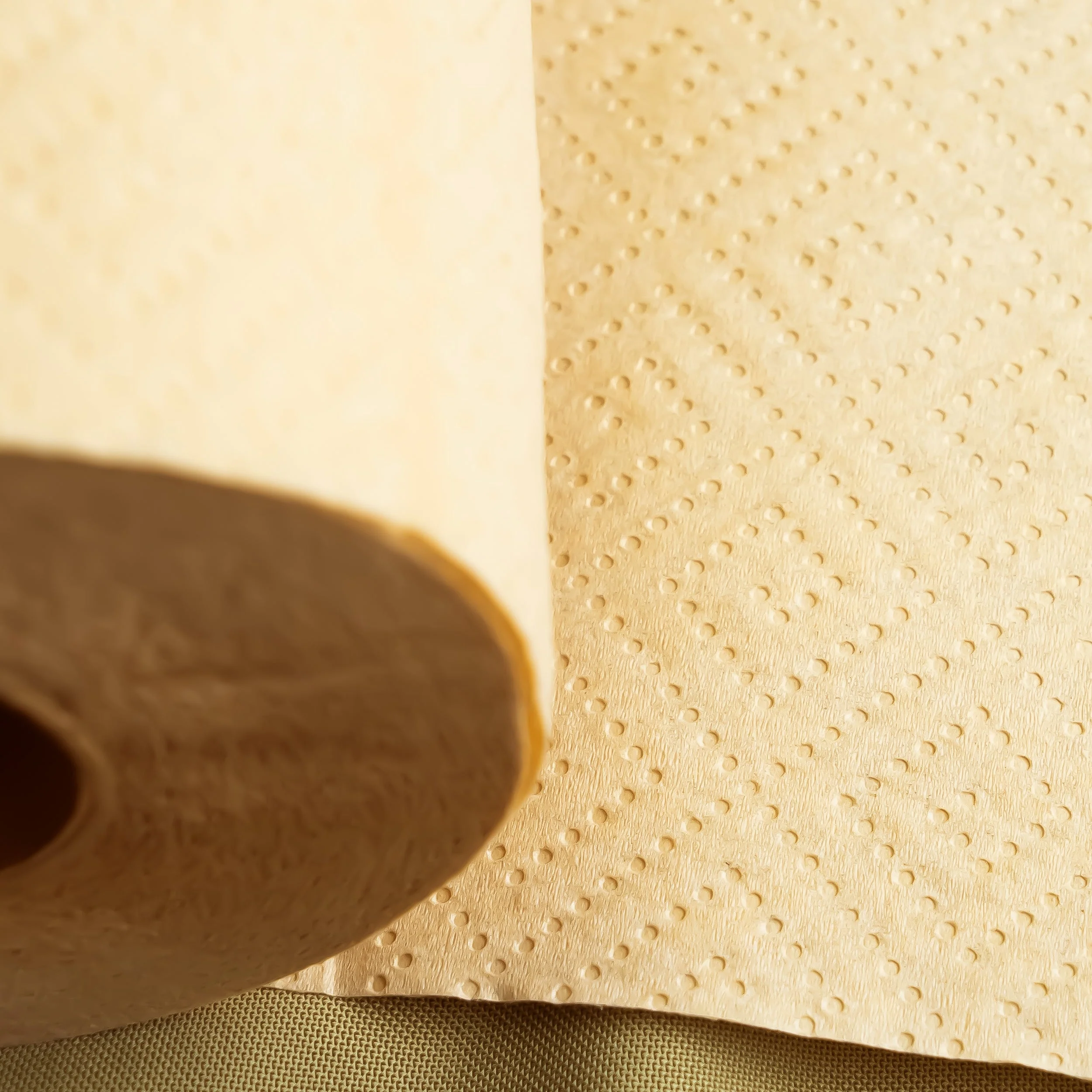 Panda Eco Paper | Bamboo Paper Towels - Image 8